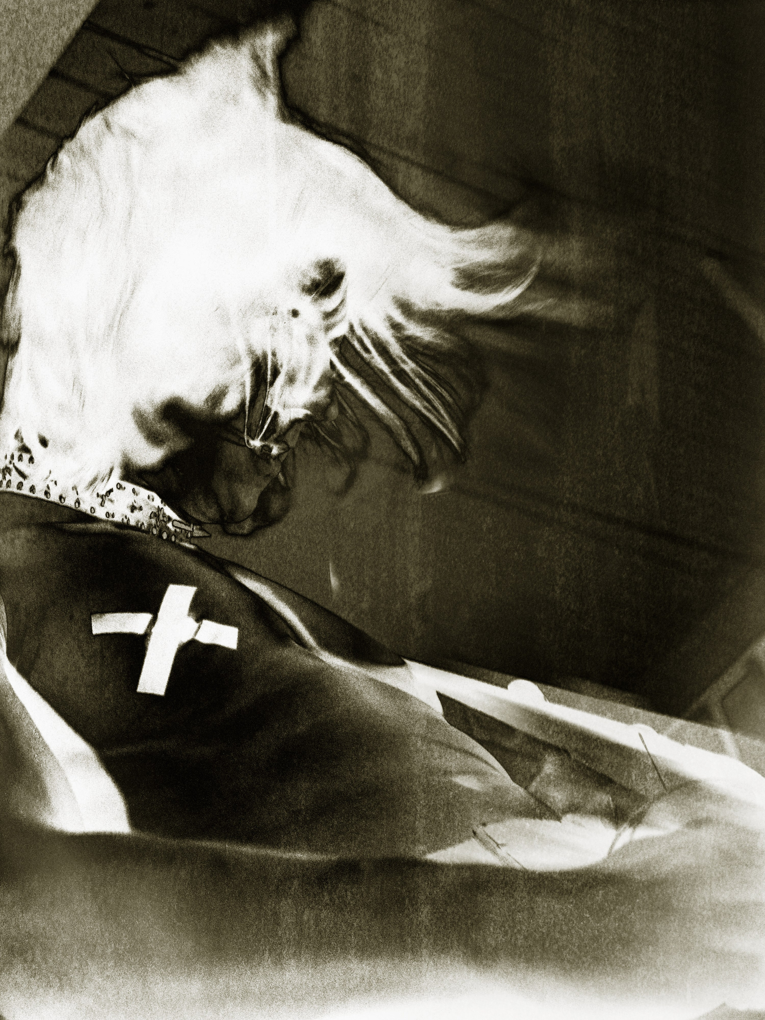 Артхаусная съемка. Касаткин Никита. Фотограф