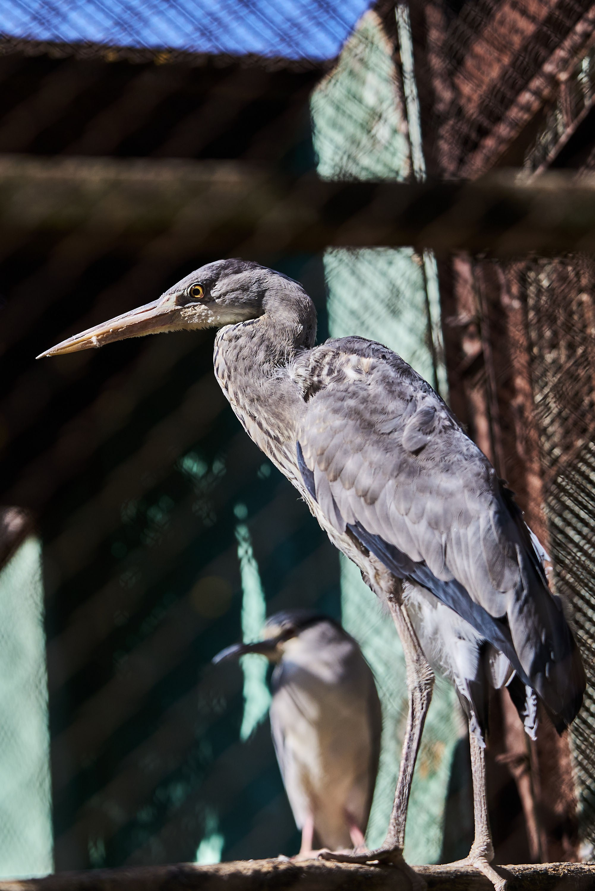 Зоопарк Иваново. Фотограф в Иваново: Каталожная съемка одежды и постельного белья, Wildberries