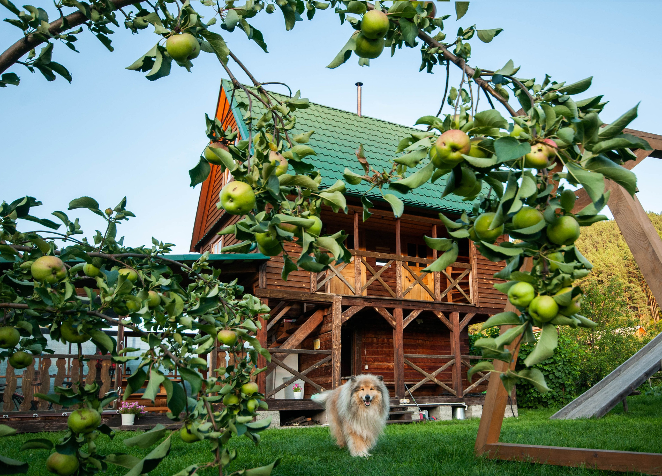 Интерьеры, ландшафты, предметы. Портретный фотограф в республике Алтай Юлия Шевченко