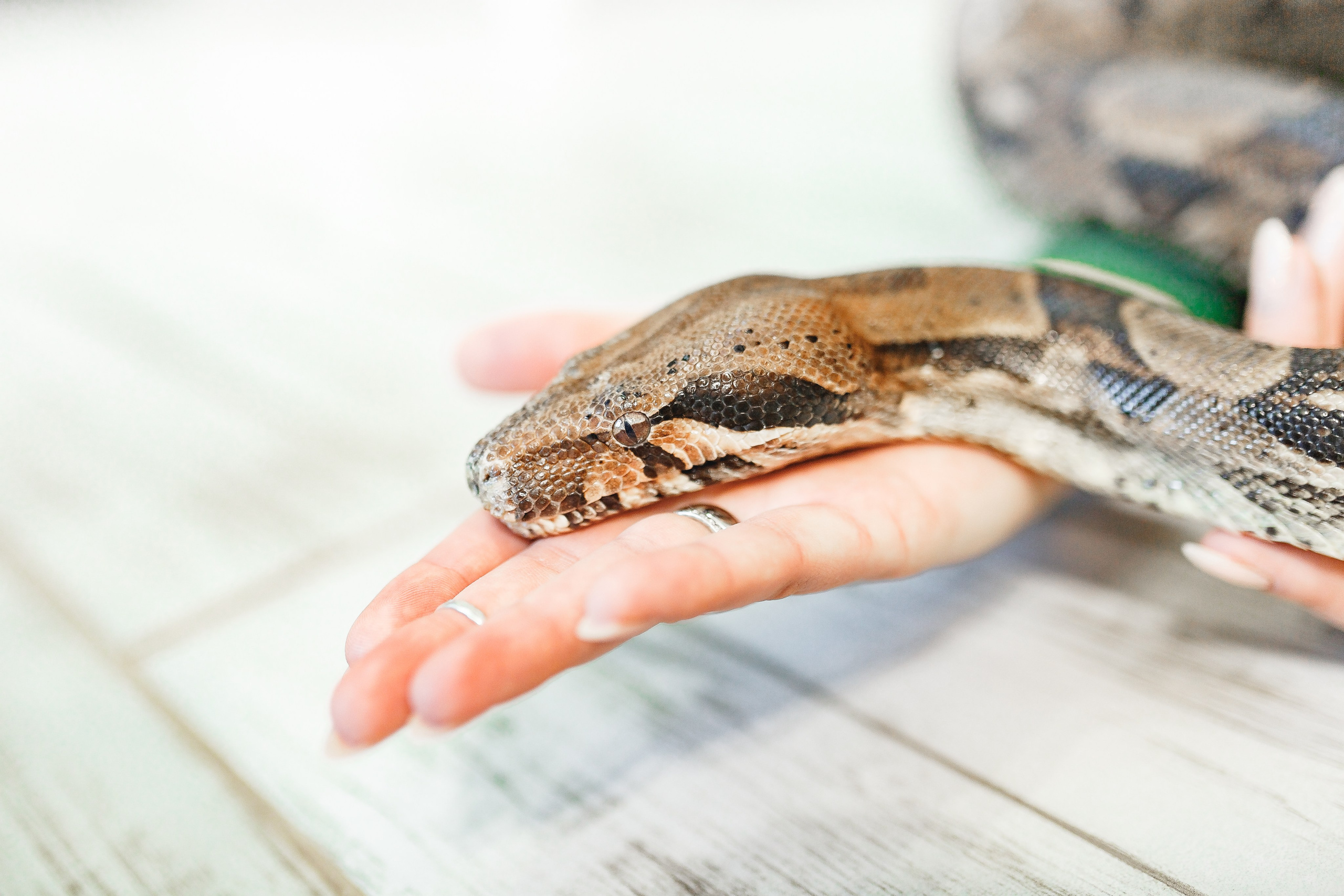 Портретная фотосессия. Семейный фотограф в Екатеринбурге