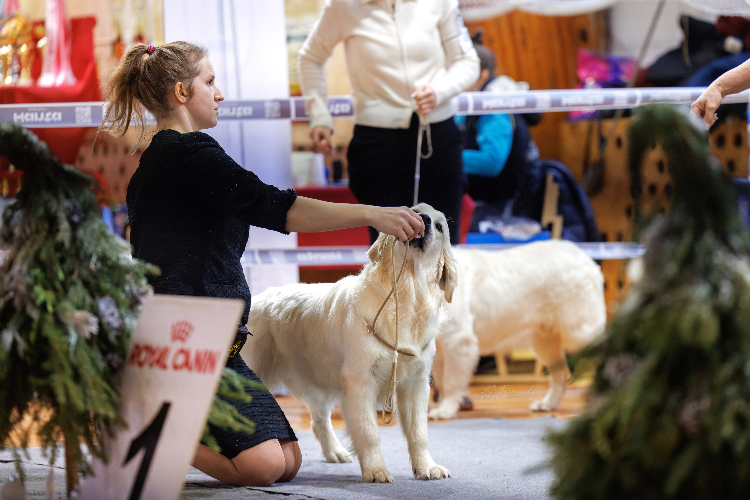 Тверь 21.12.2025. Фотограф-анималист Юлия Германика