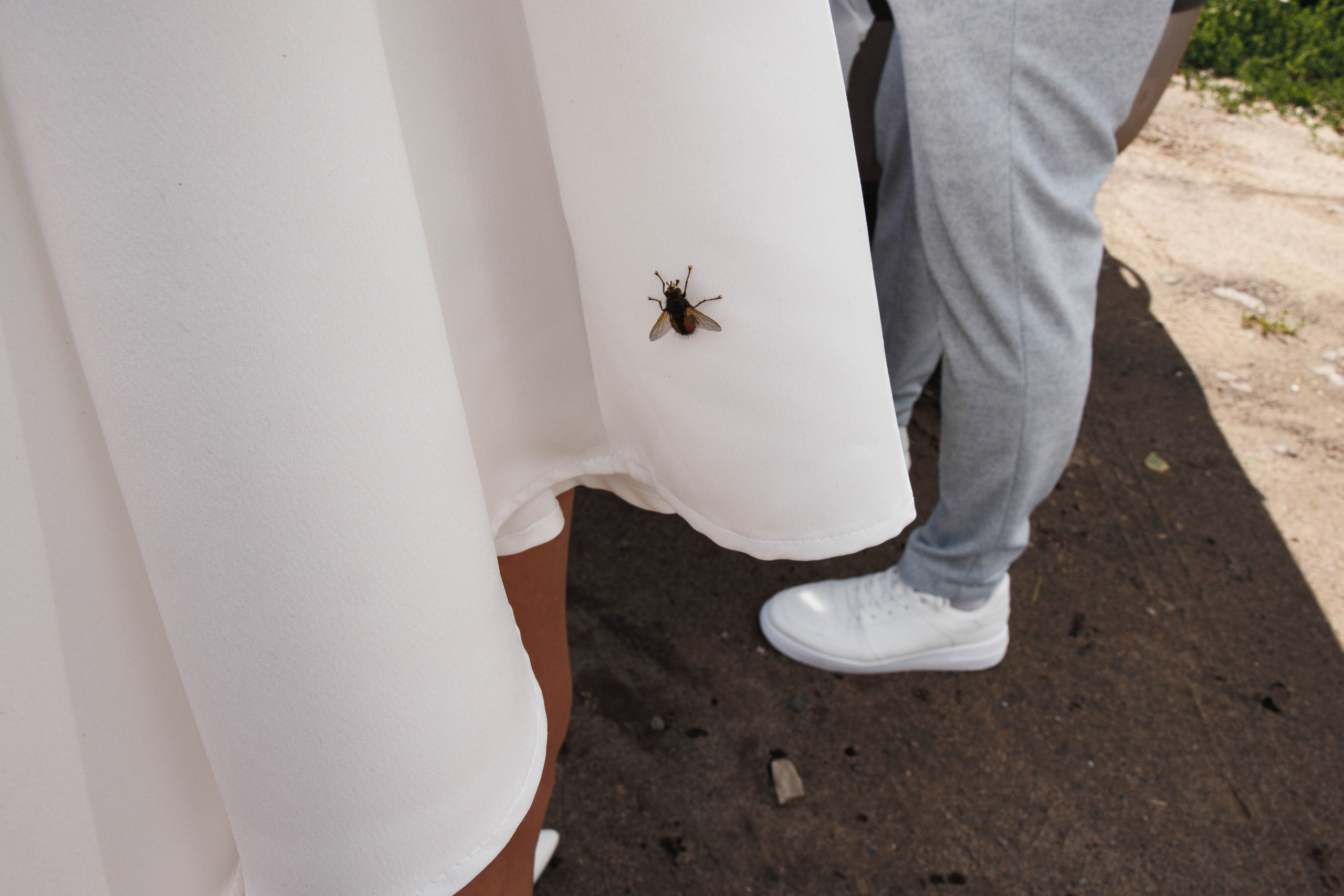 Моя самая любимая. Галерея