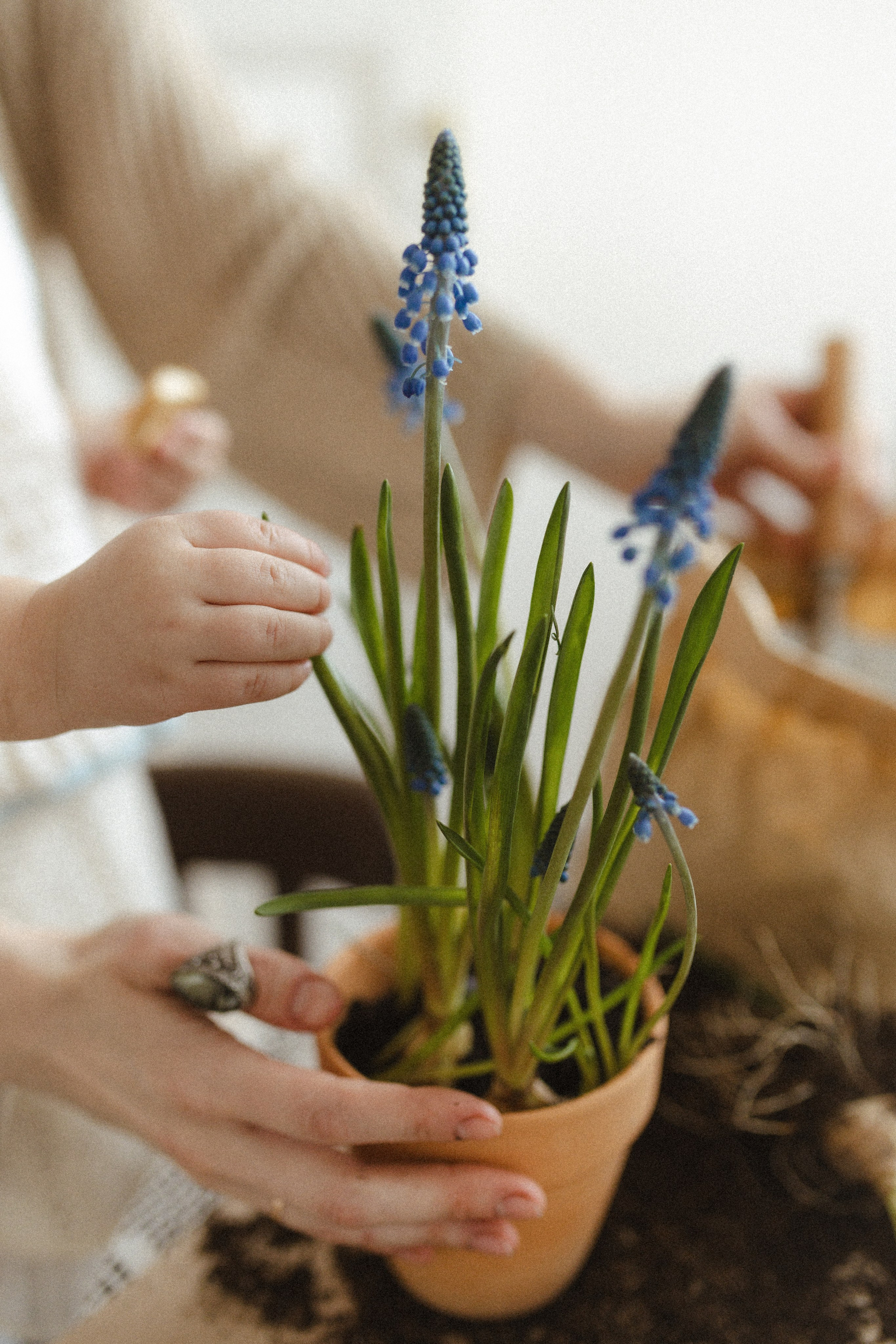Девочки в цветах. Семейный фотограф в Москве Алина Савченко