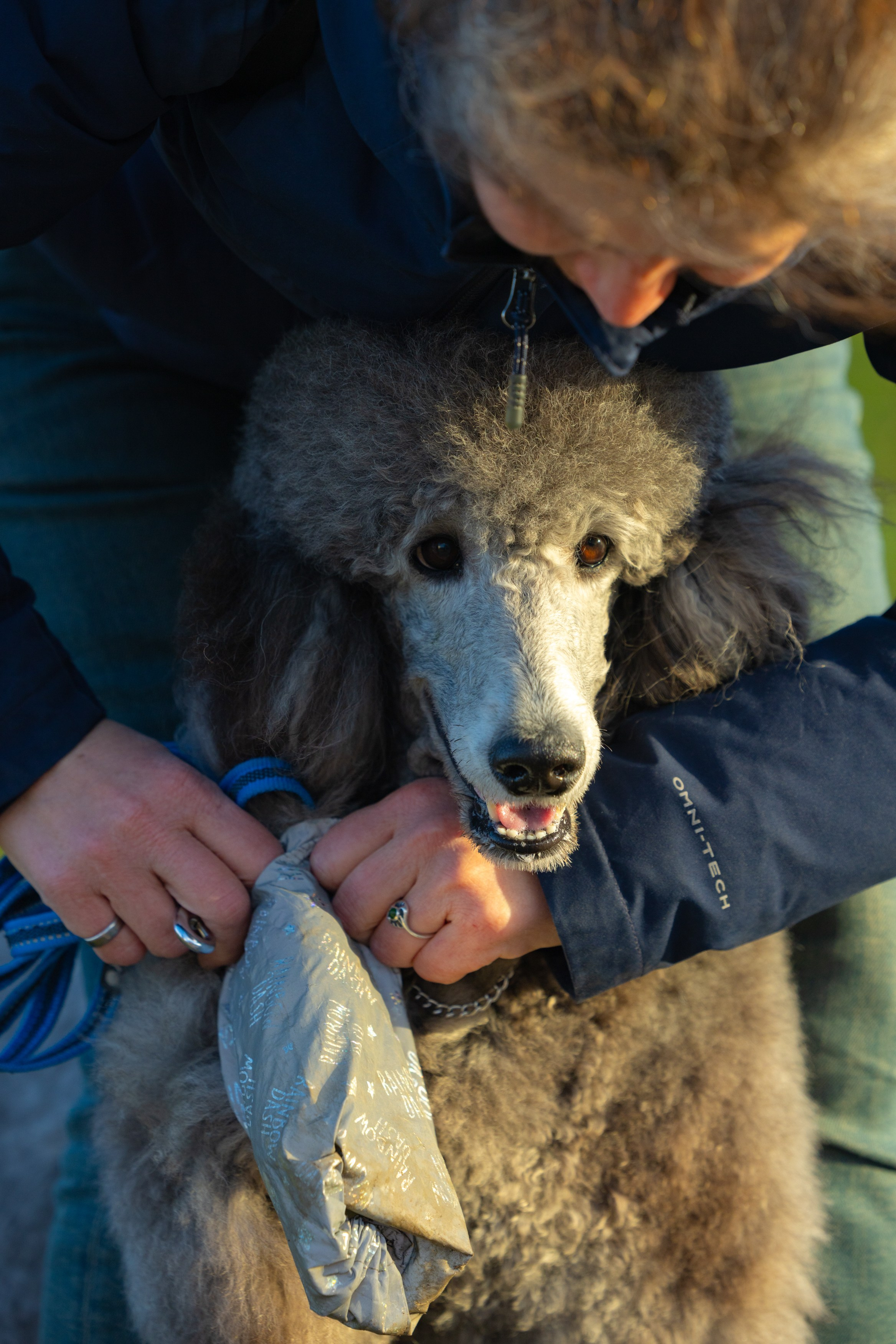 Клуб грумеров (прогулка и семинары). Виктория Зудина — фотограф в Москве