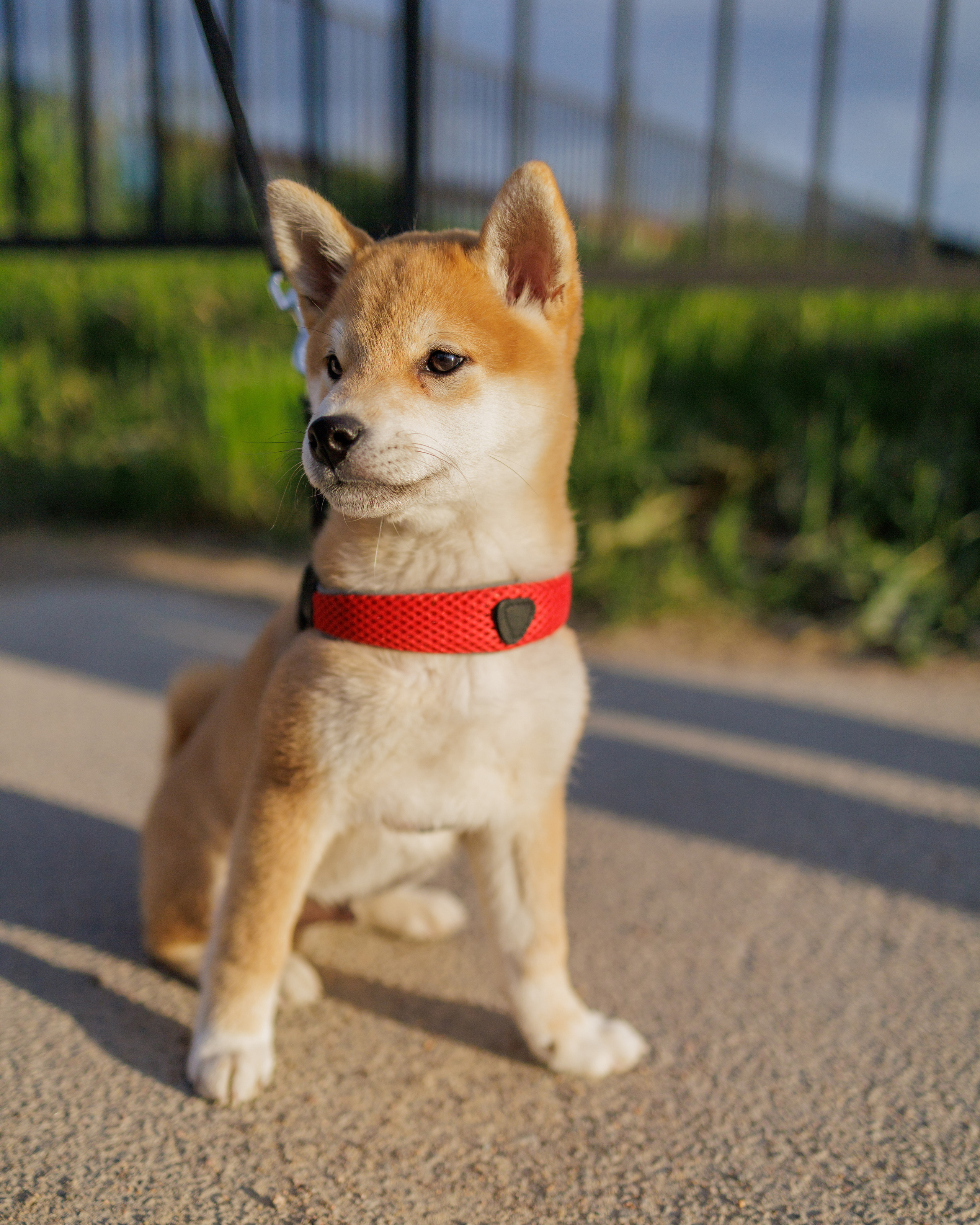Streetfoto Стритфото Санкт-Петербург