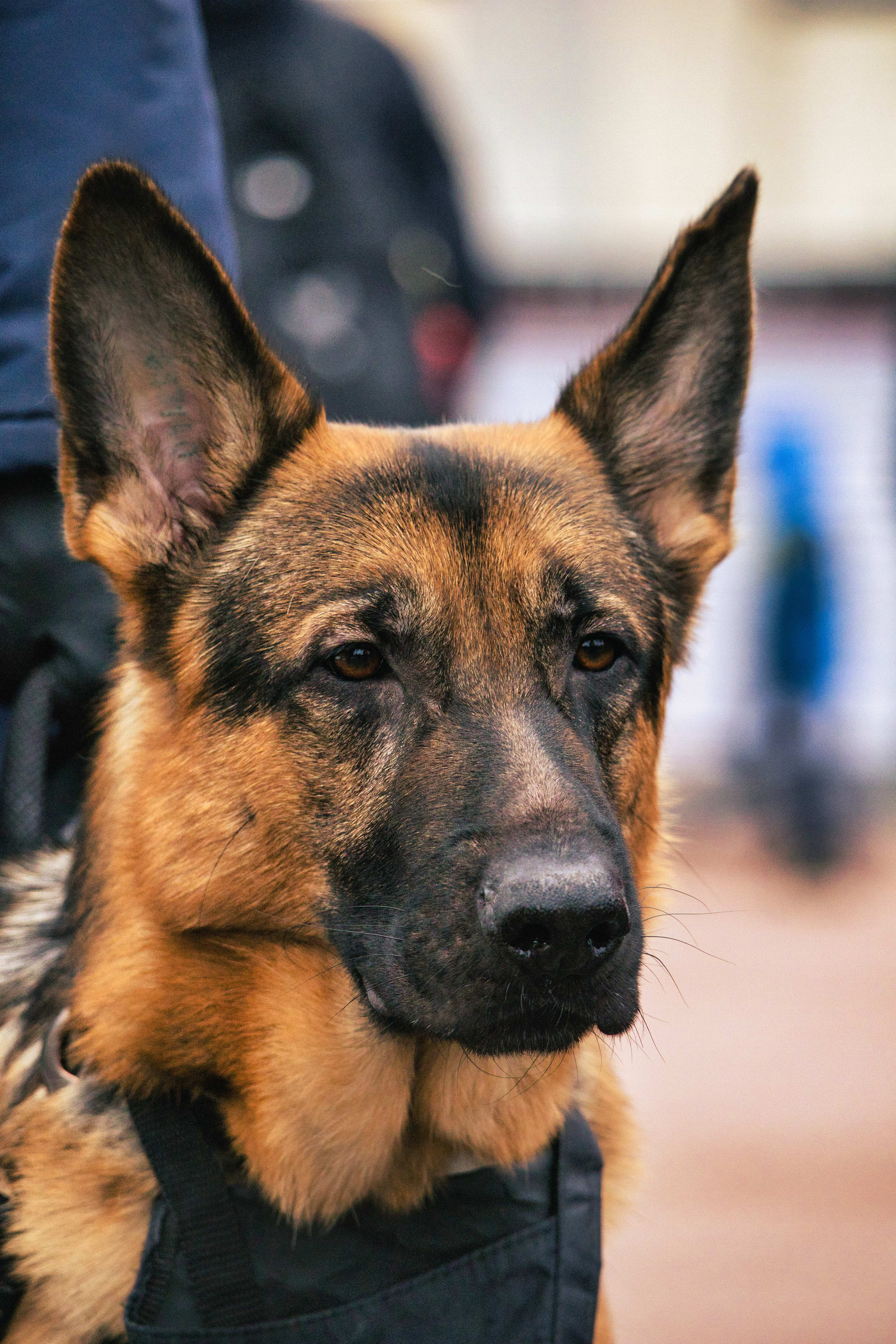 Streetfoto Стритфото Санкт-Петербург