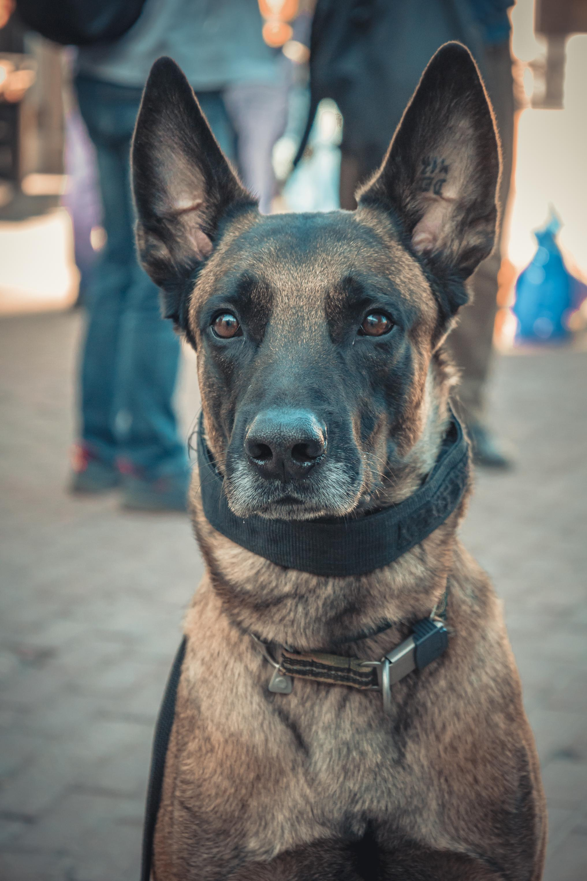 Streetfoto Стритфото Санкт-Петербург