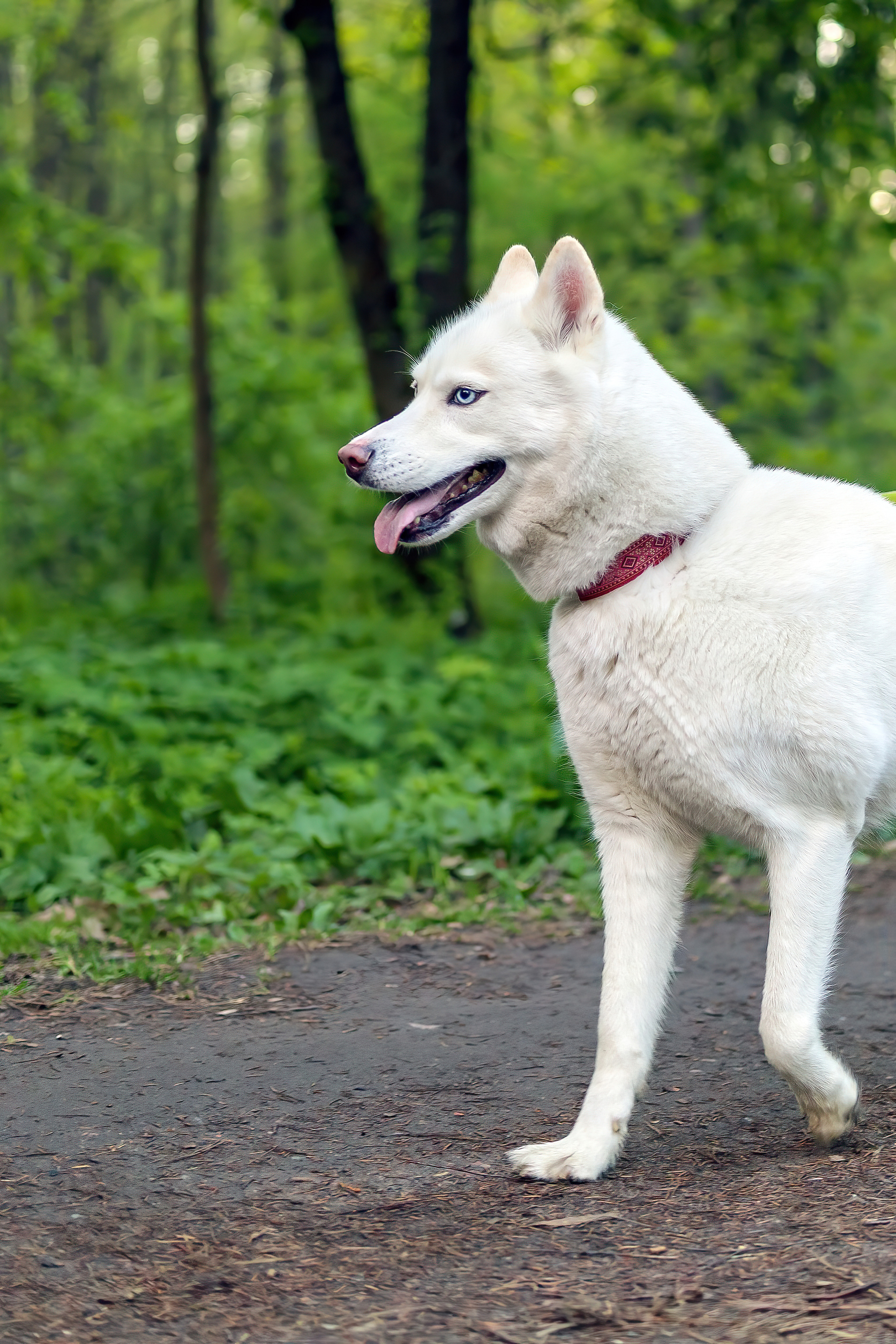 Streetfoto Стритфото Санкт-Петербург