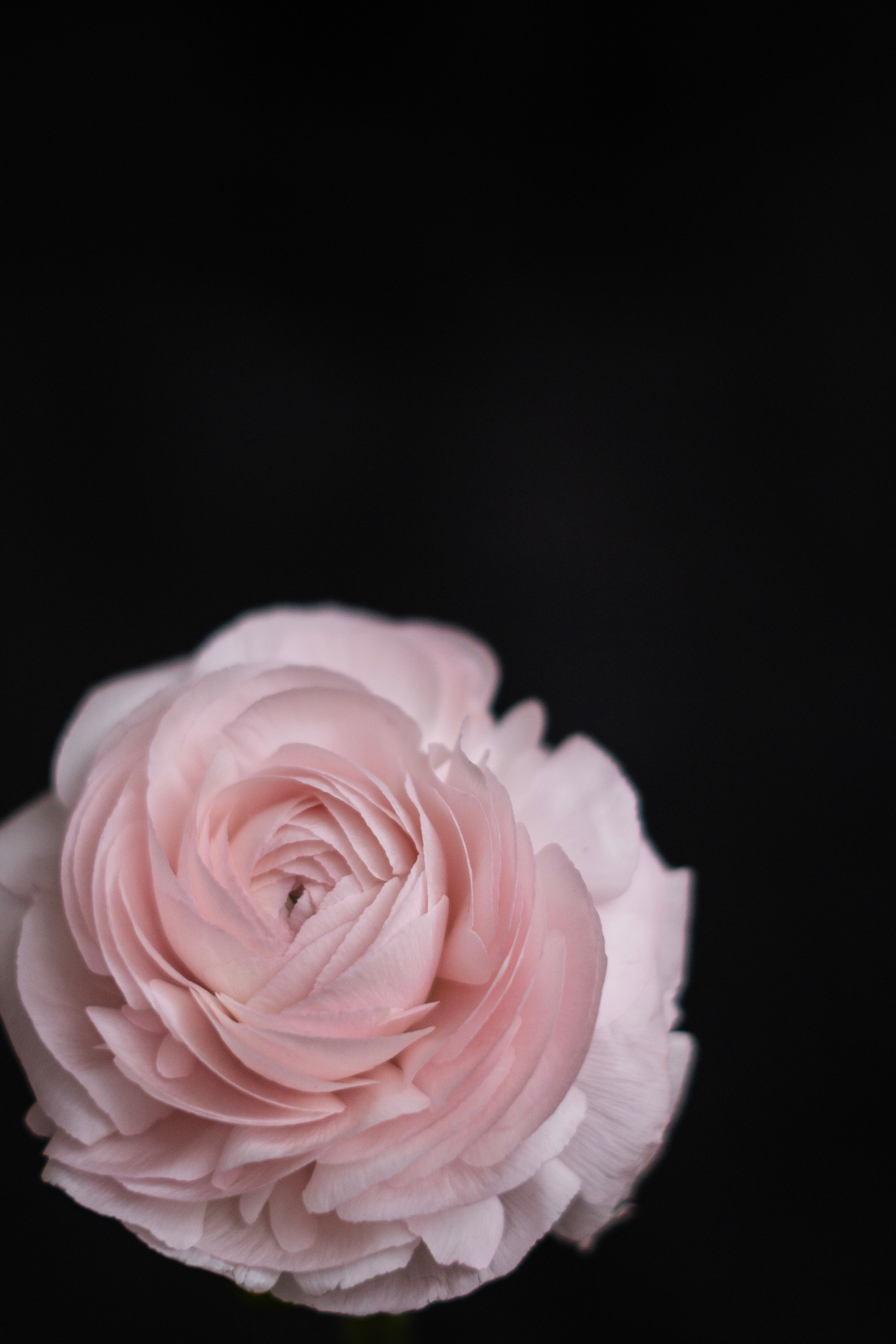 Каталог. Ольга Ибатуллина