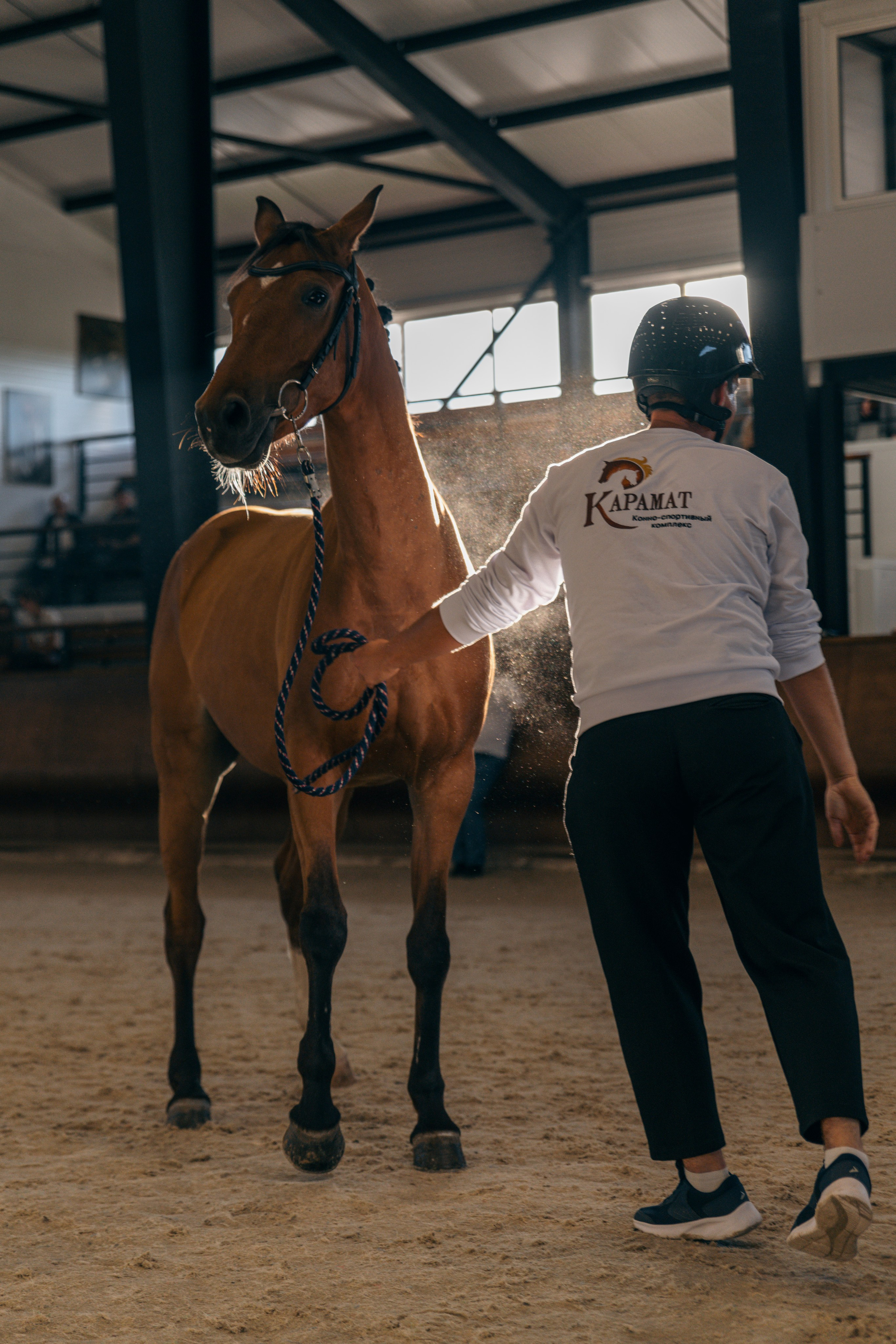 Аукцион. Фотограф Москва Софа Ревчук