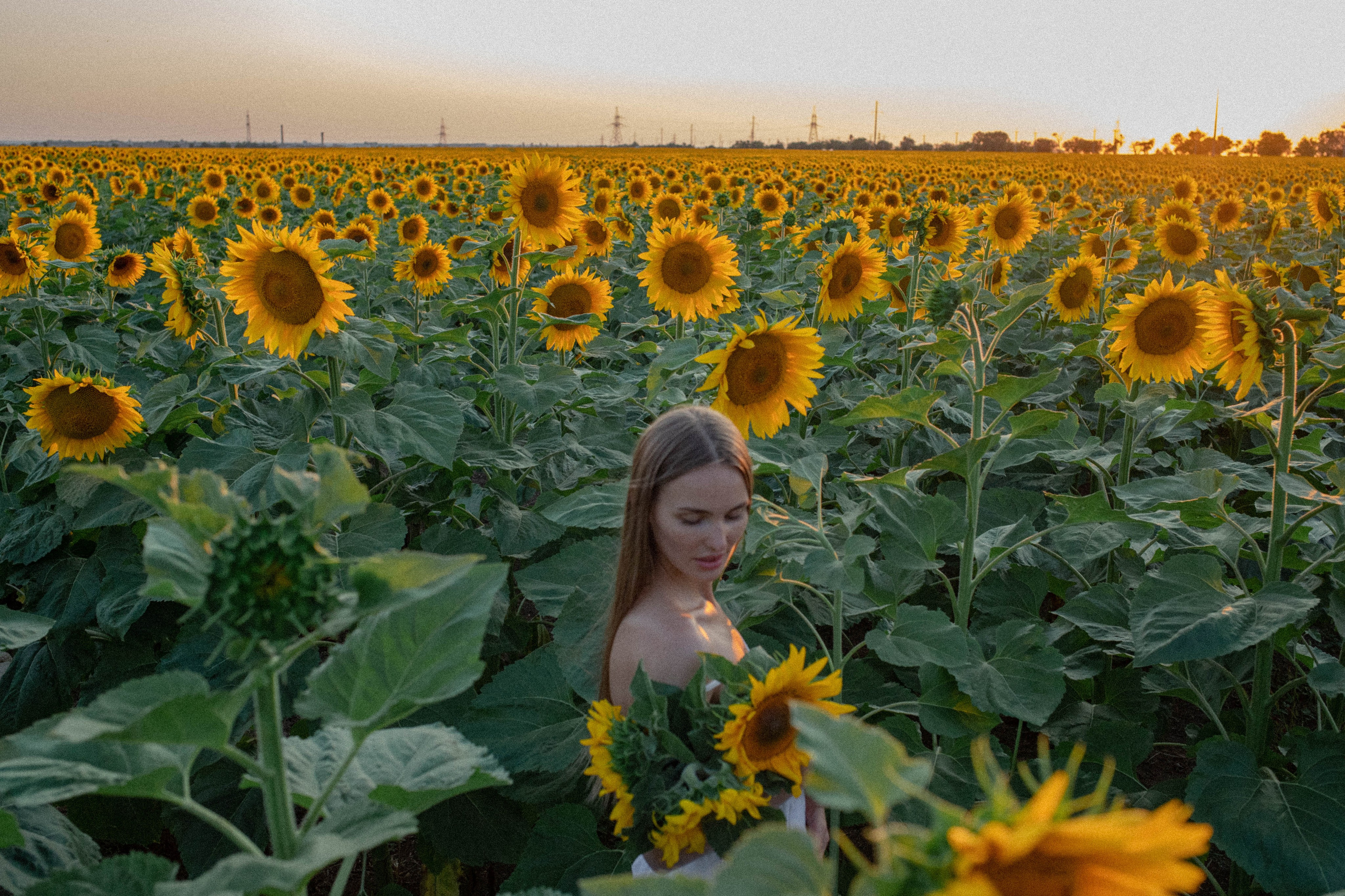 Диана. Фотограф Немазенко Ольга