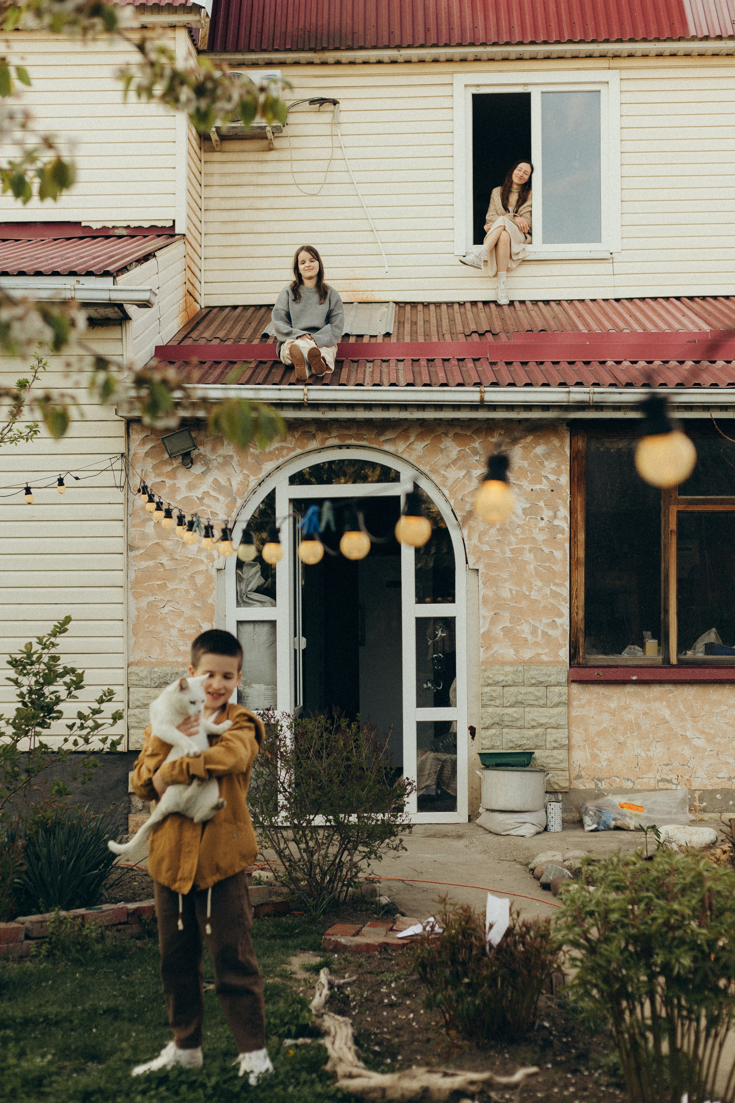 Домашняя история. Meryfotoidea