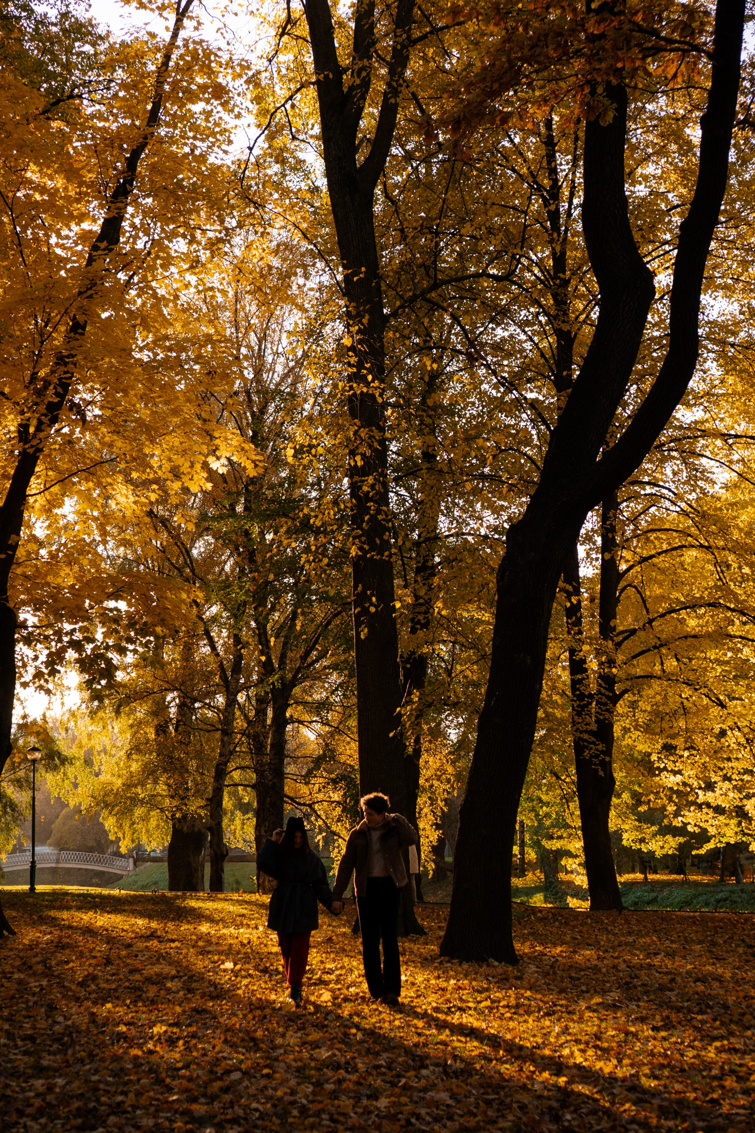 ОСЕННЯЯ ПРОГУЛКА. Профессиональный фотограф, Санкт-Петербург — Виктория Богомолова