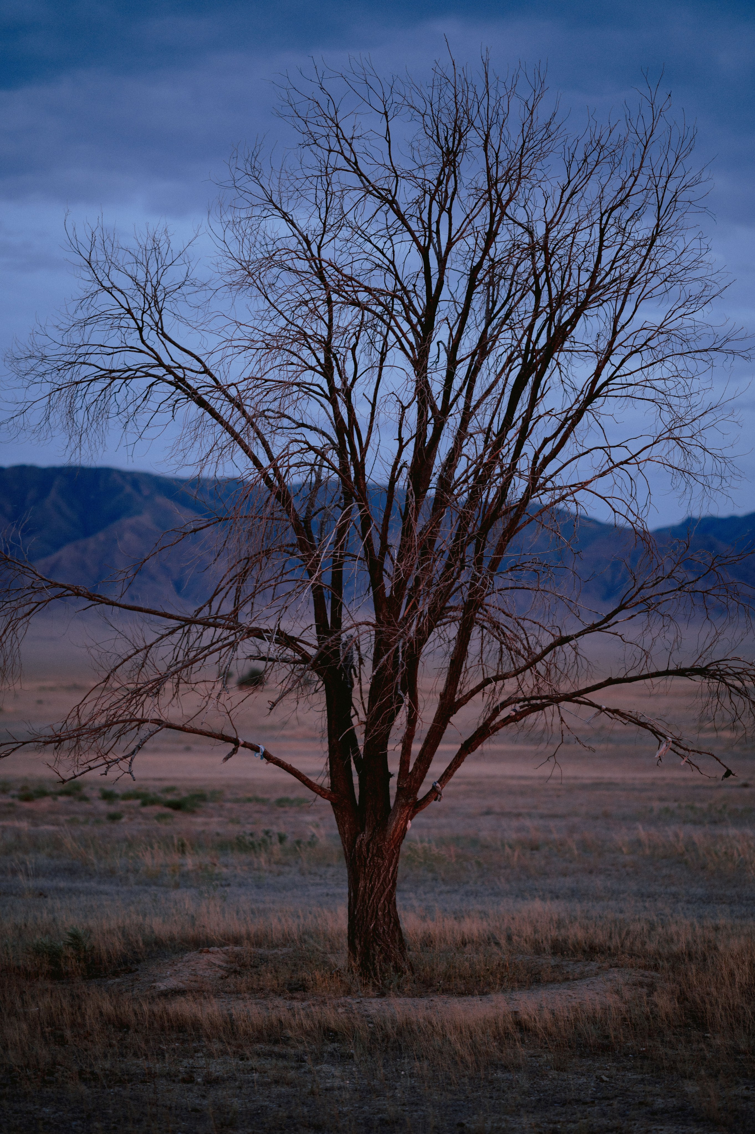 Чарын-Кольсай: лето 2024. Фотограф в Алматы — Дарья Фёдорова