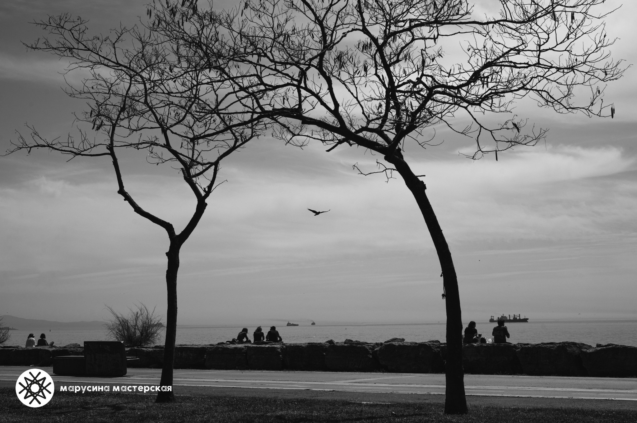 Арея Кандаурова