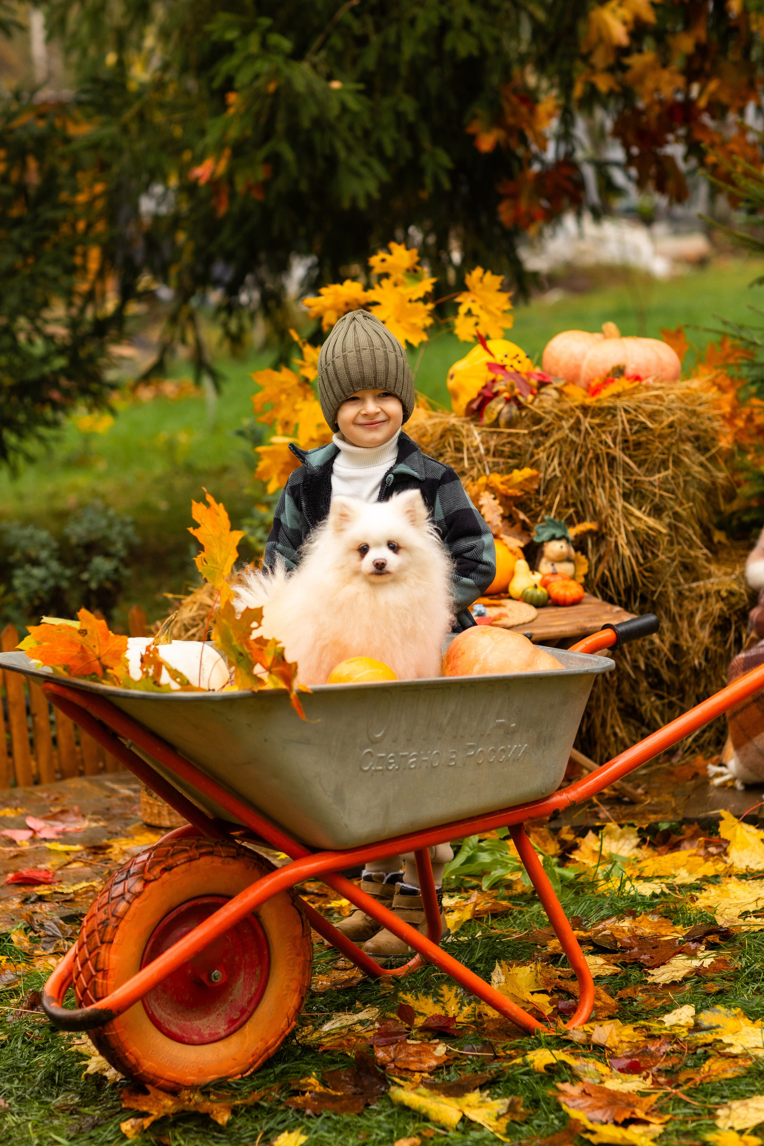 Осень. Профессиональный ретушер Москва и весь мир — Елена Тимченко