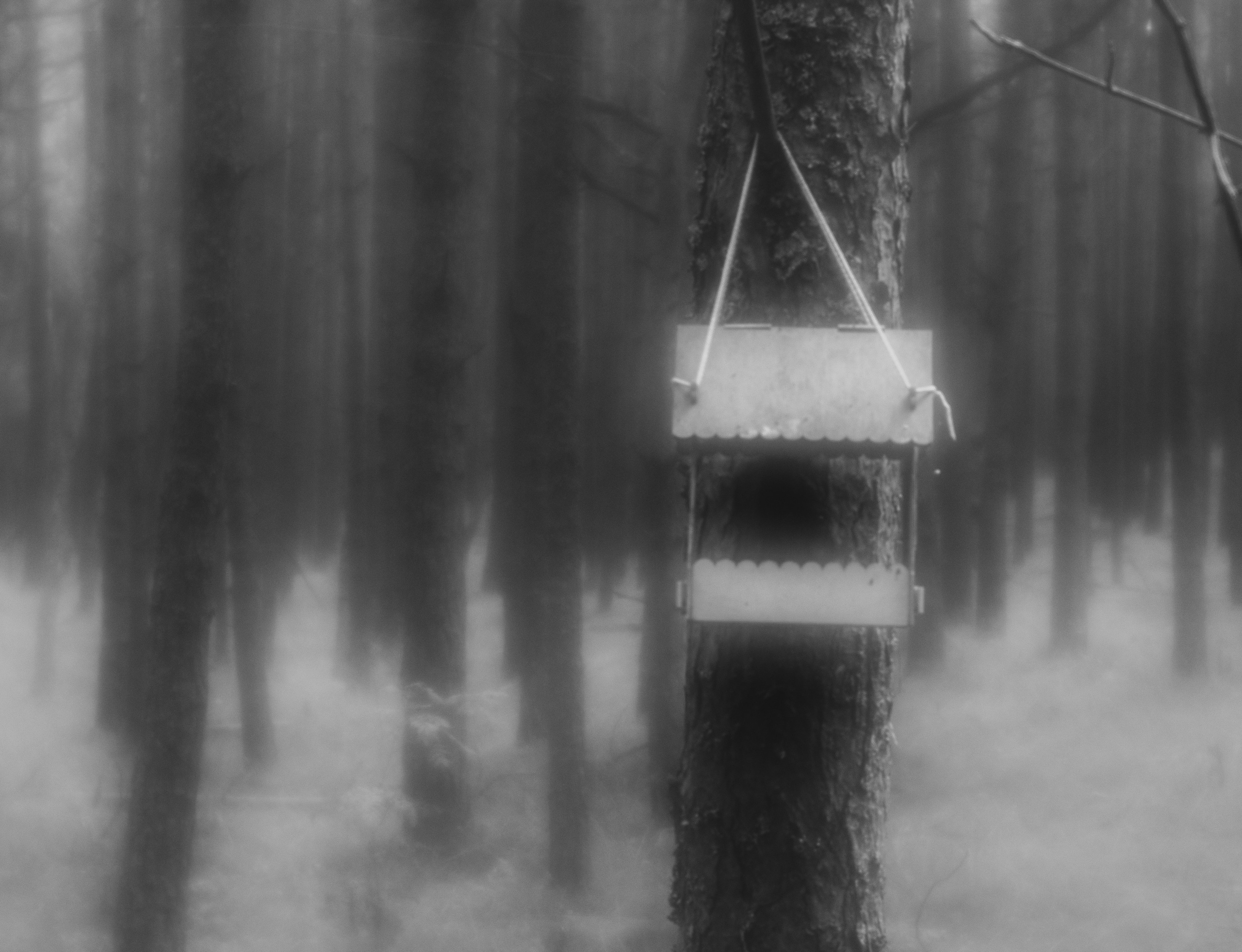 Ростов-на-Дону «МИР В ДЕТАЛЯХ». ARTEXPOPHOTO