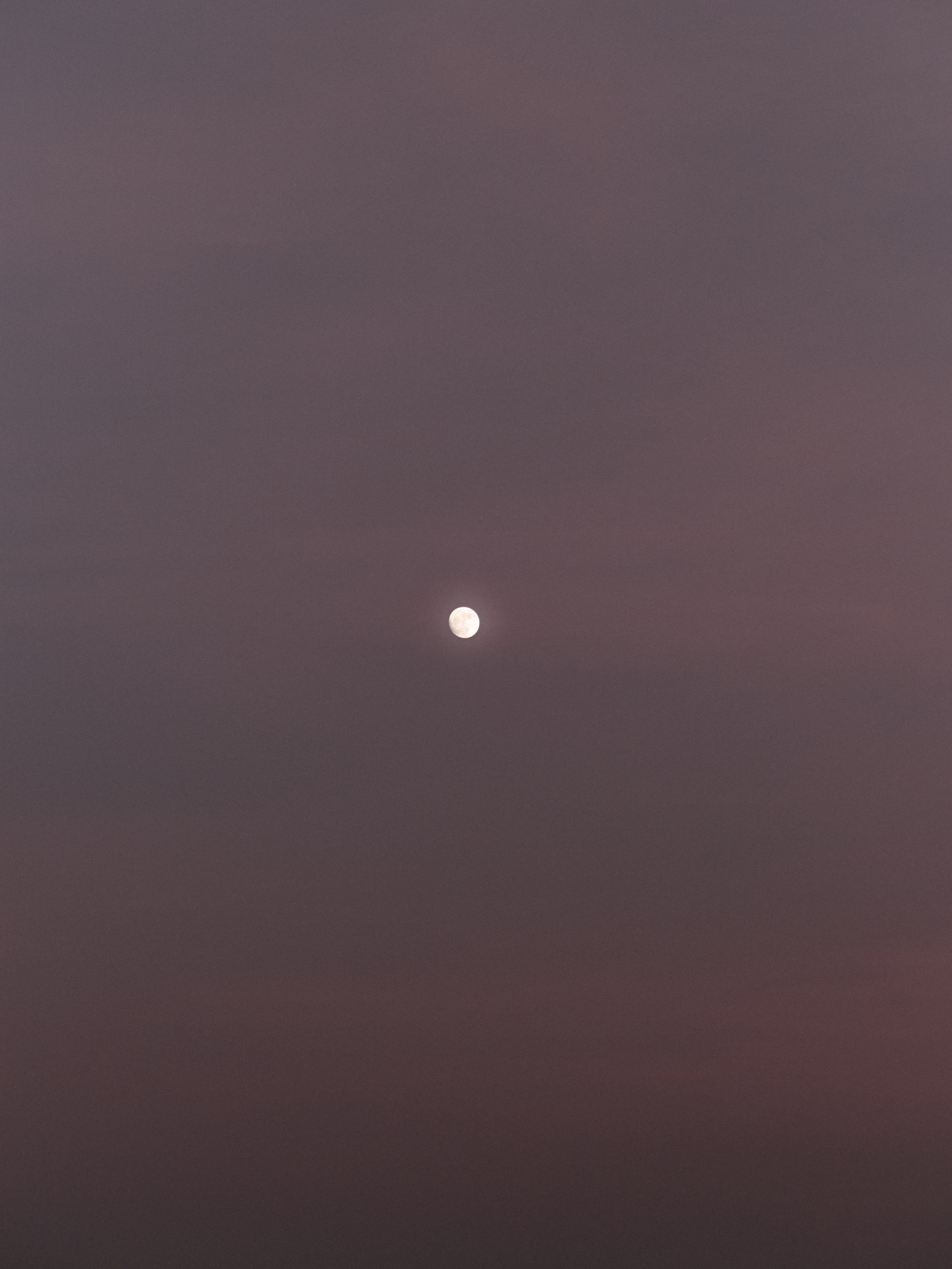 Природа. Jorgis Talè — photographer, kind person, teacher of arts and other mag