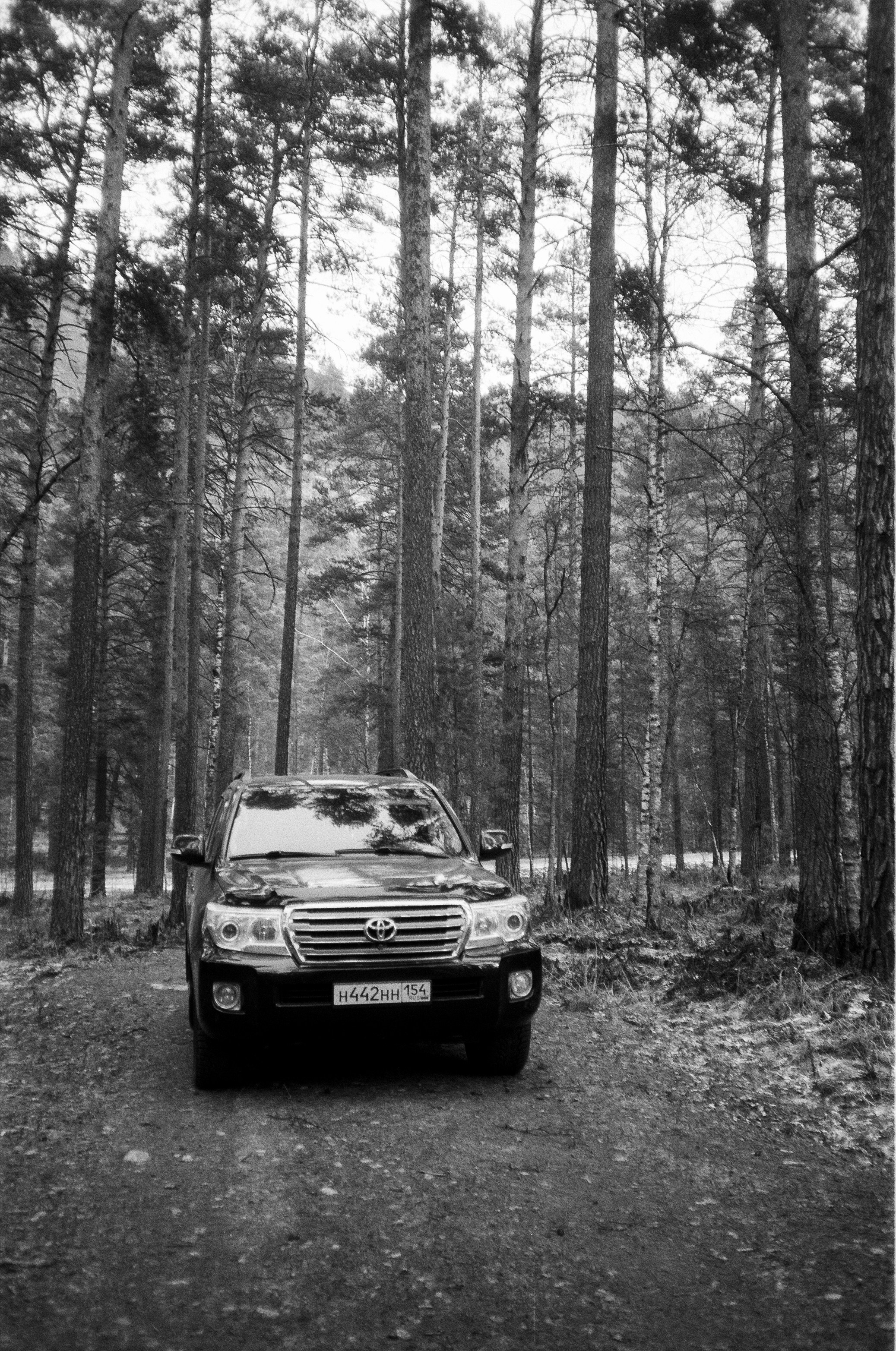 Зубы Дракона, Чемальский тракт, остров Патмос, Кызыл-Таш, Белые Скалы