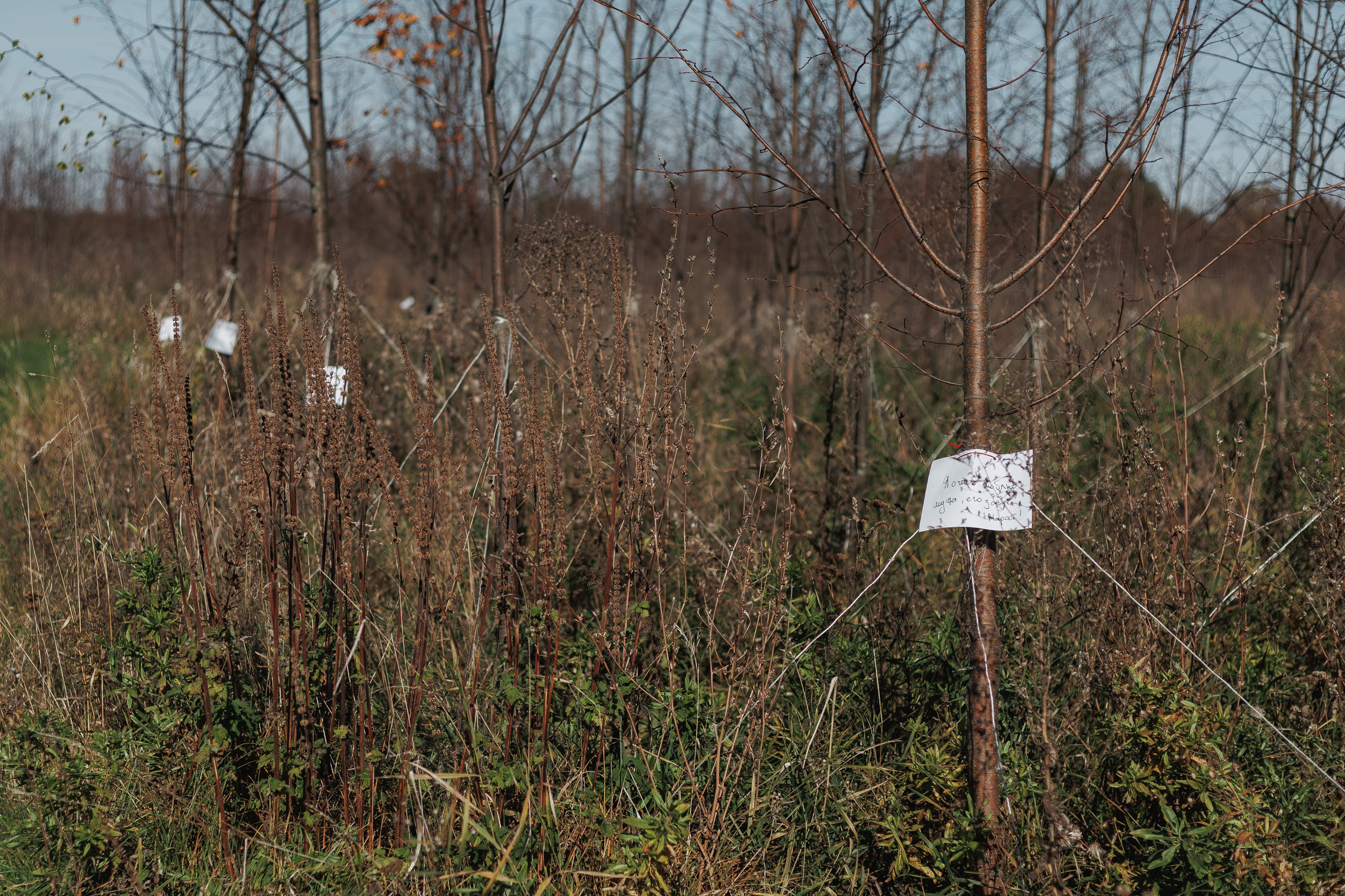 Съемка перформанса. Ксю Галиасфарова — Фотограф Казань