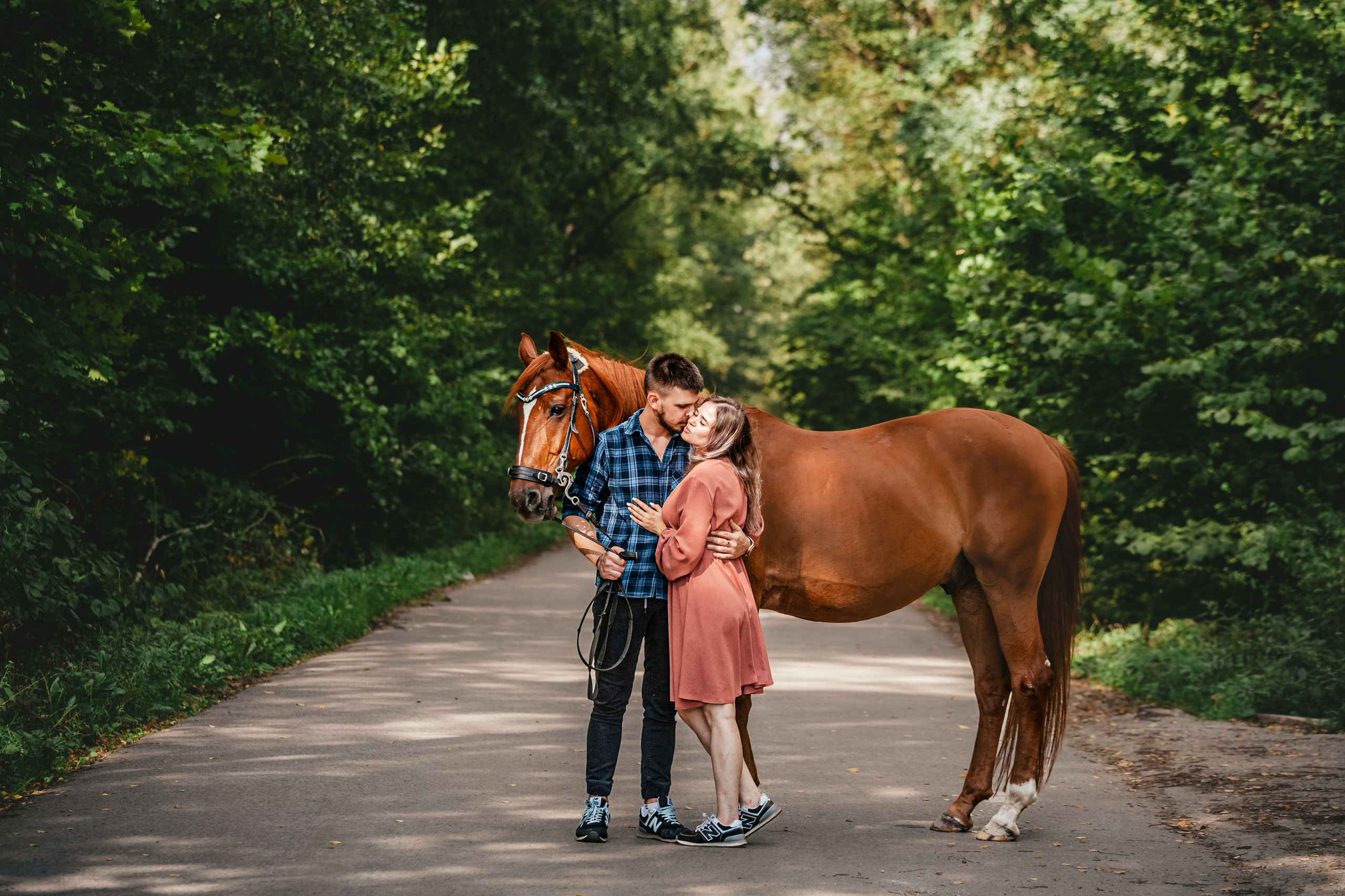 Экспресс фотопрогулка на конюшне. Фотограф-анималист Татьяна Степанова