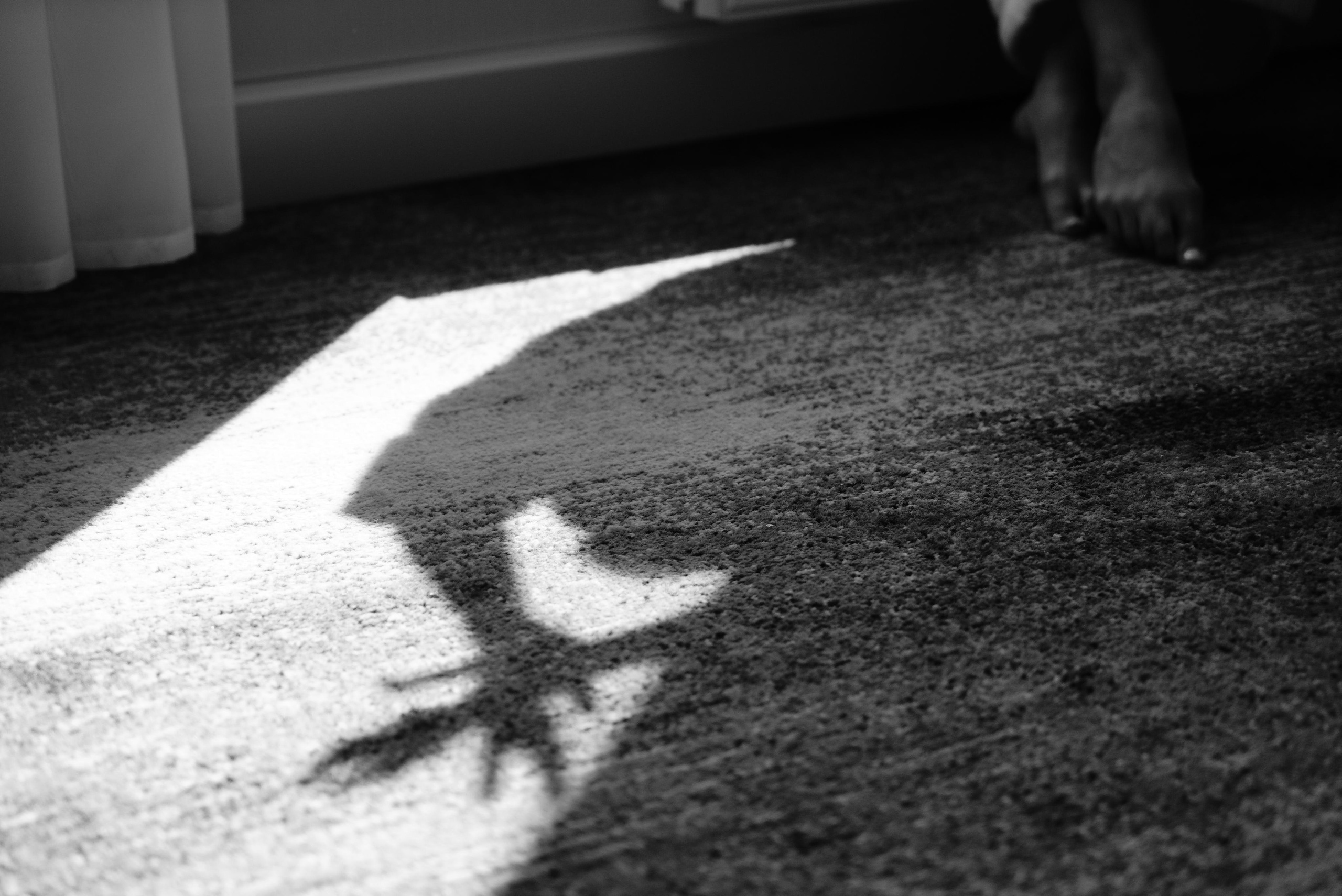 Владимир и Ирина. Свадебный фотограф в Самаре Анна Ковалева