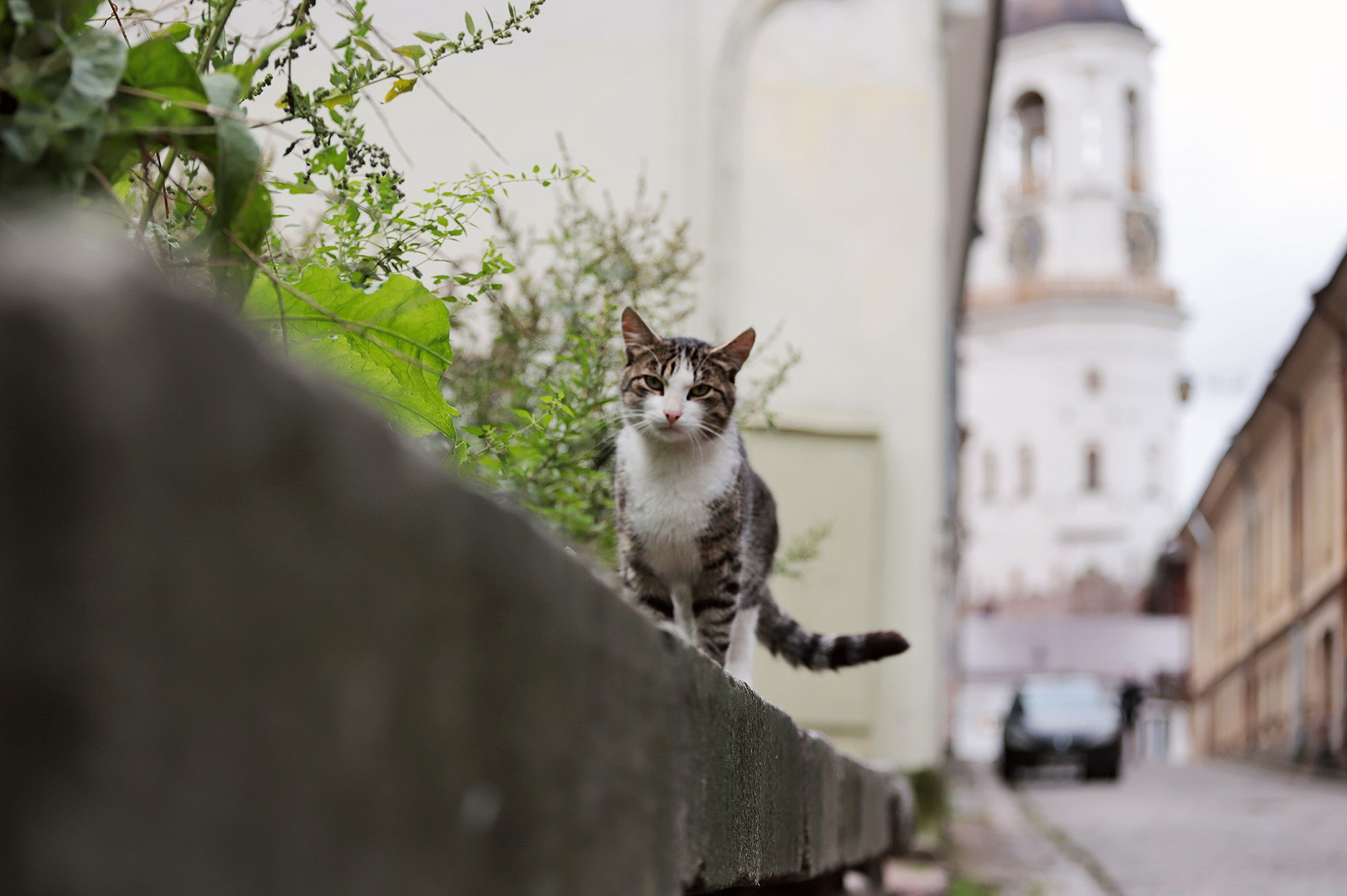 Улицы. Фотографии Марины Бурнашовой