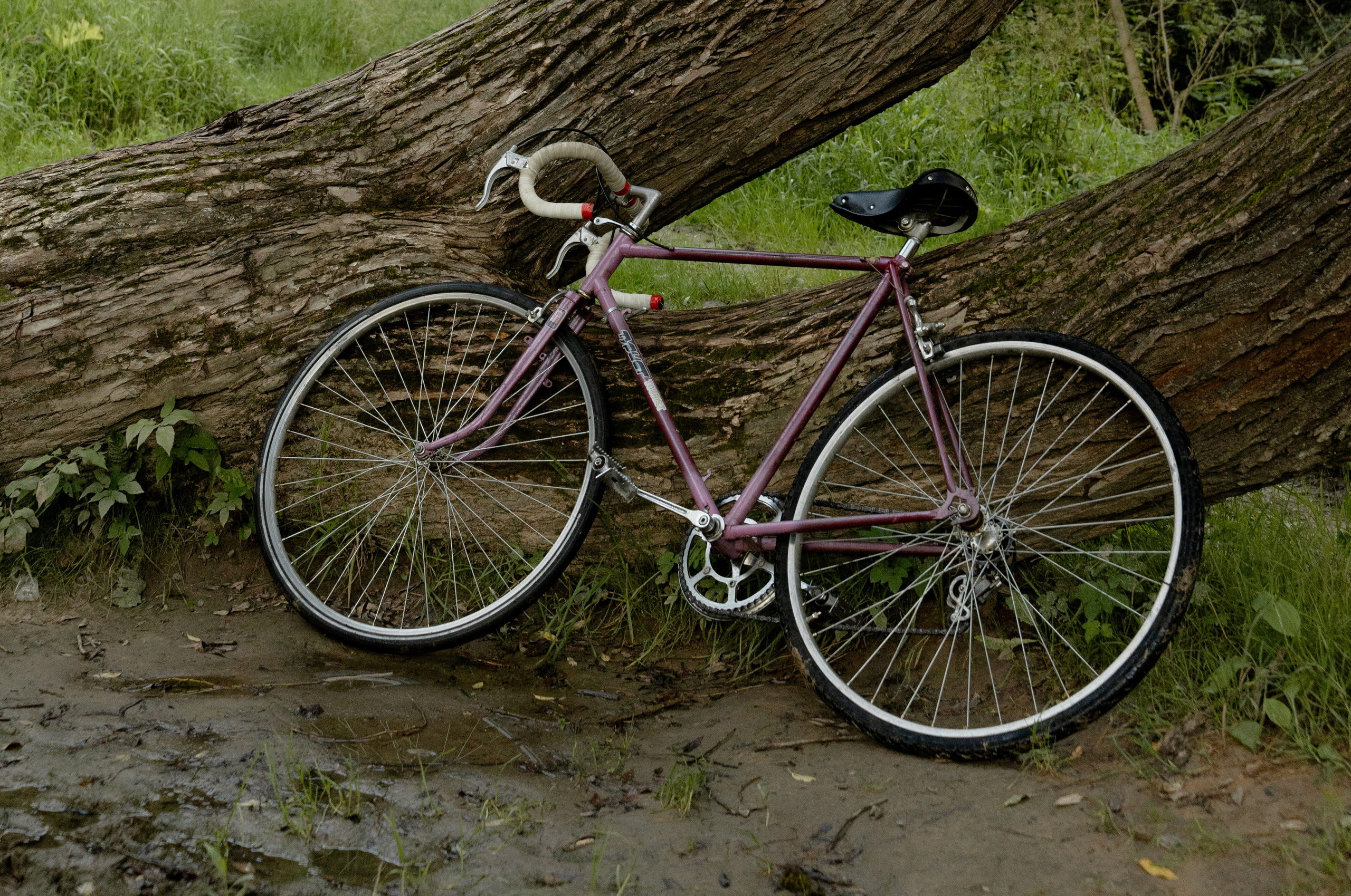 Полина. Фотограф в Смоленске, Москве и Санкт-Петербурге