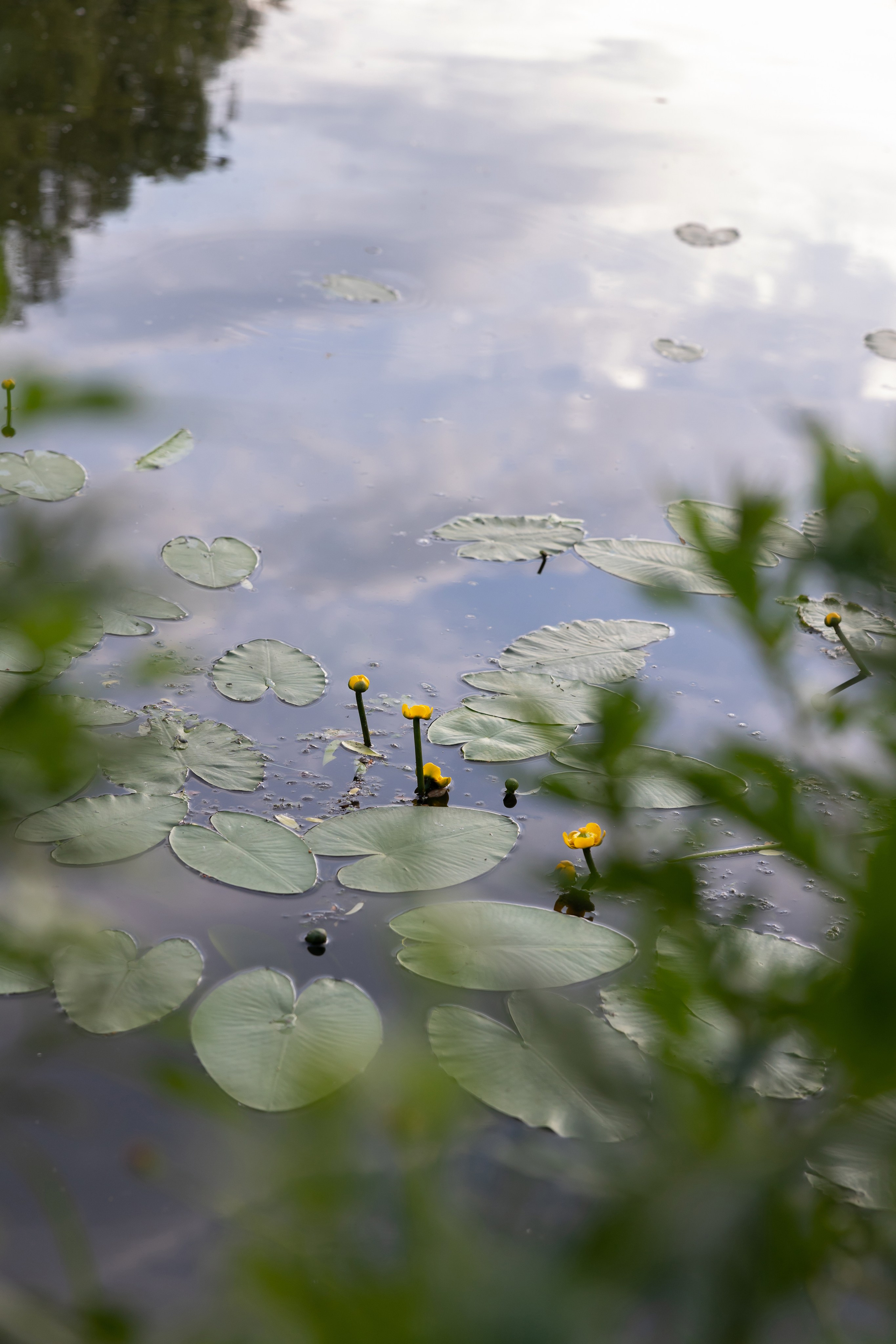 Прогулка в парке. Сказочный фотограф для Вас и Вашей семьи