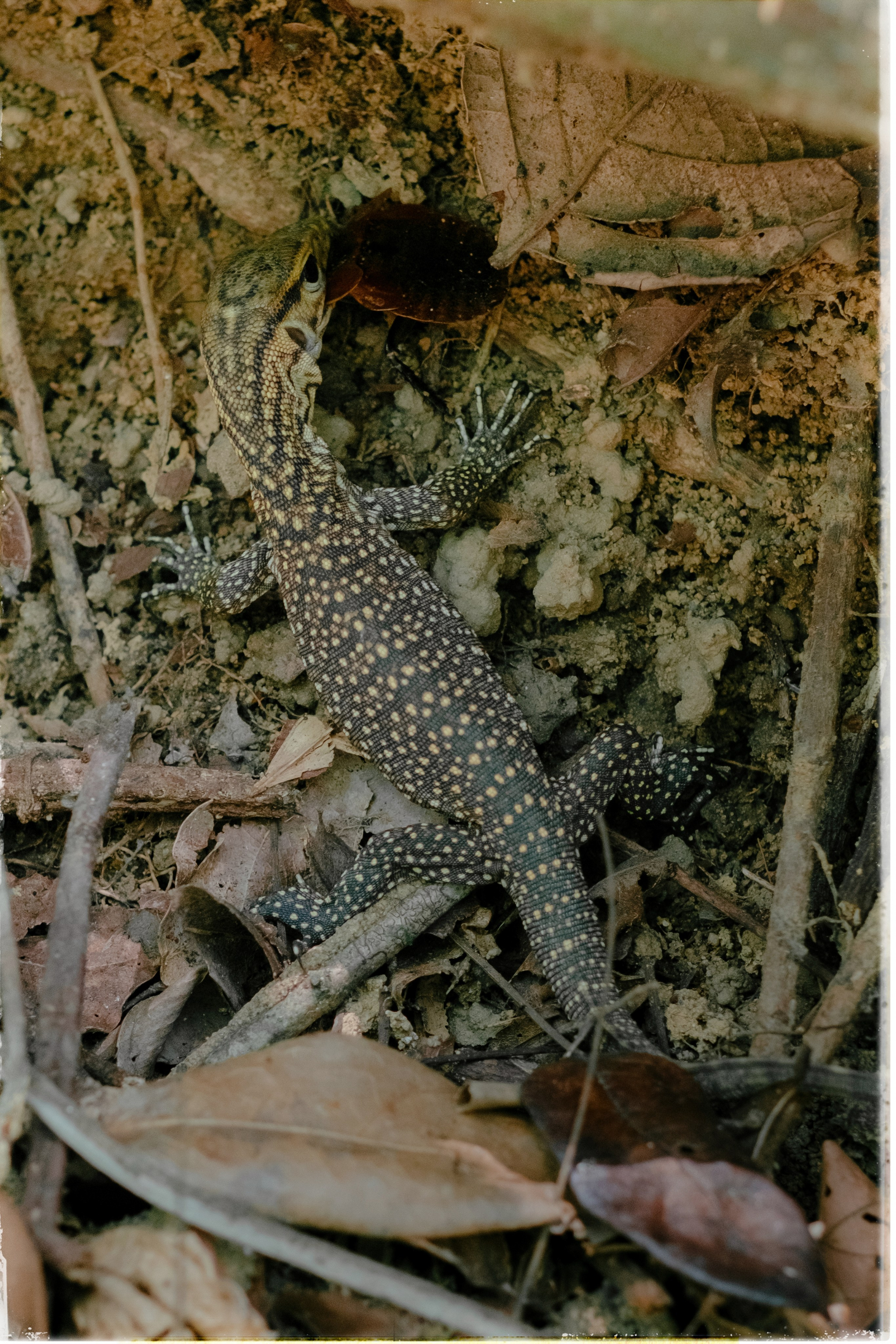 Таиланд. Портретный и репортажный фотограф в Санкт-Петербурге Дарья Сибирякова