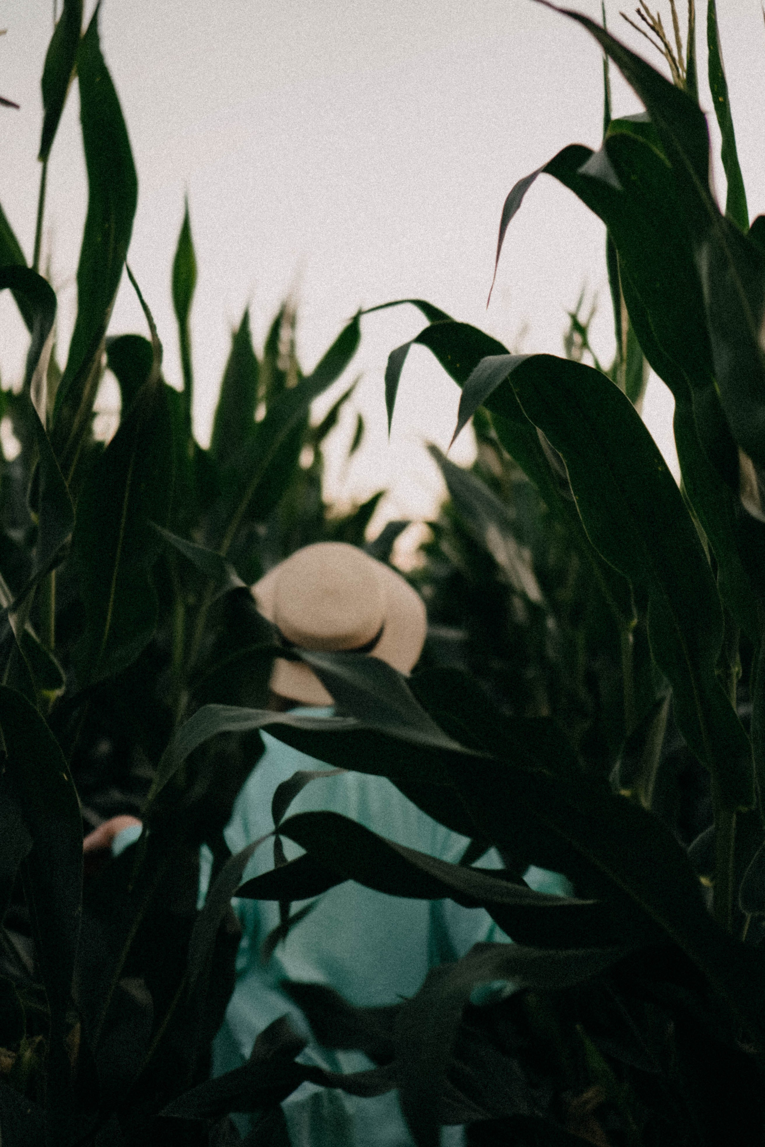 Летний вечер. Профессиональный фотограф, Санкт-Петербург — Виктория Богомолова