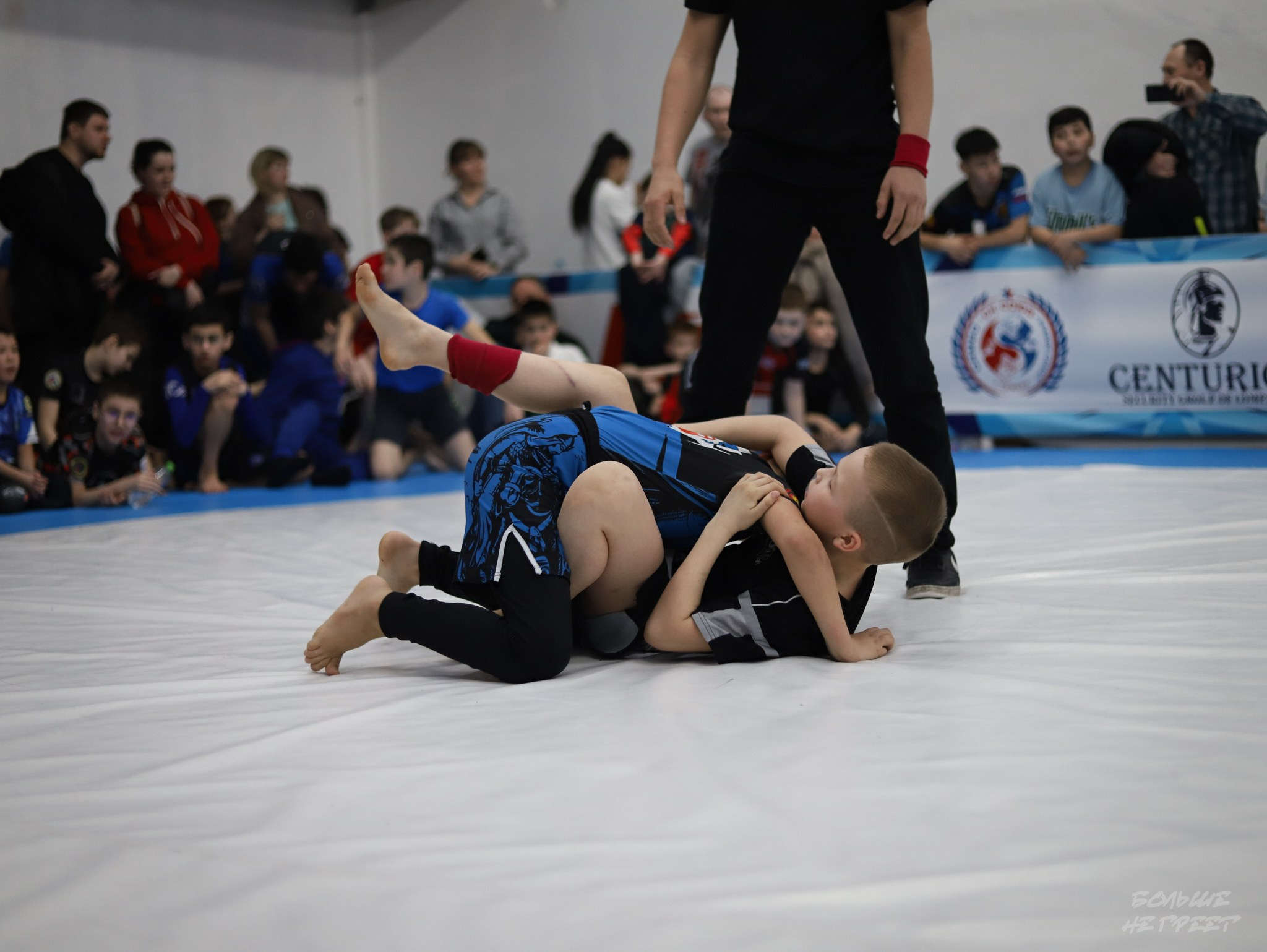 GORILLA PRIDE CUP. Больше не греет