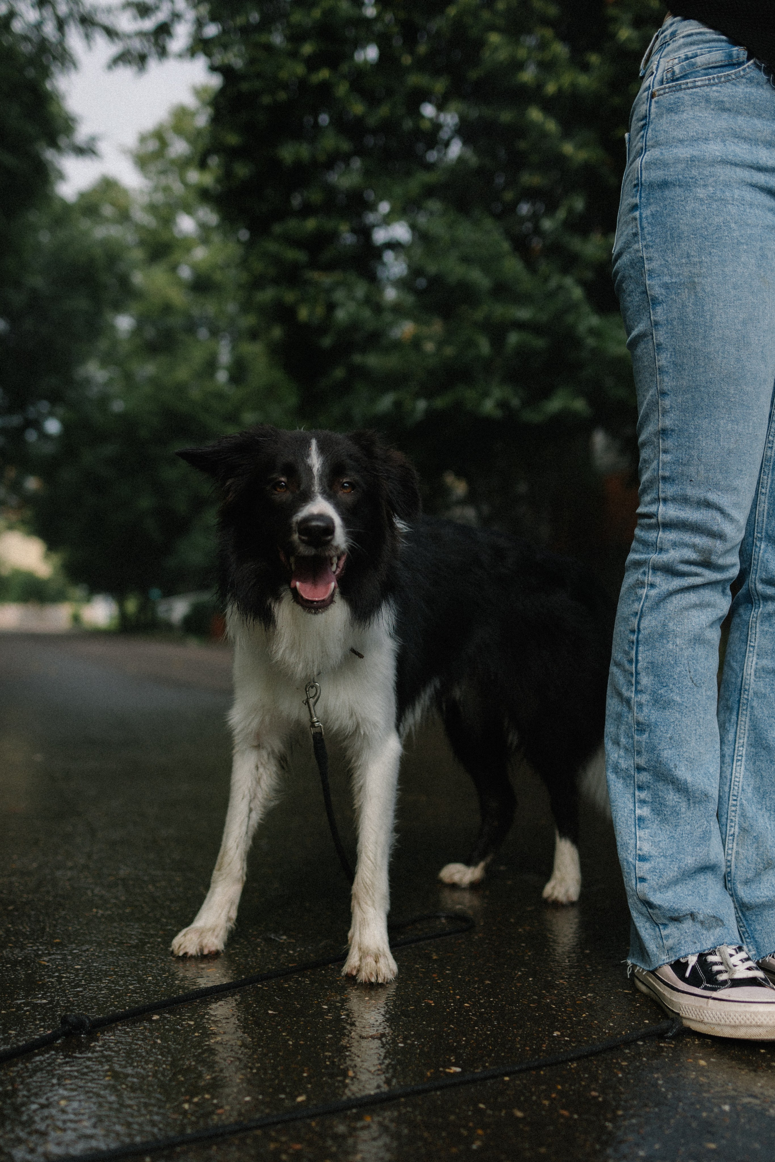 Брюс, Вейв и их ро. Фотораф — анималист Мария Шистка