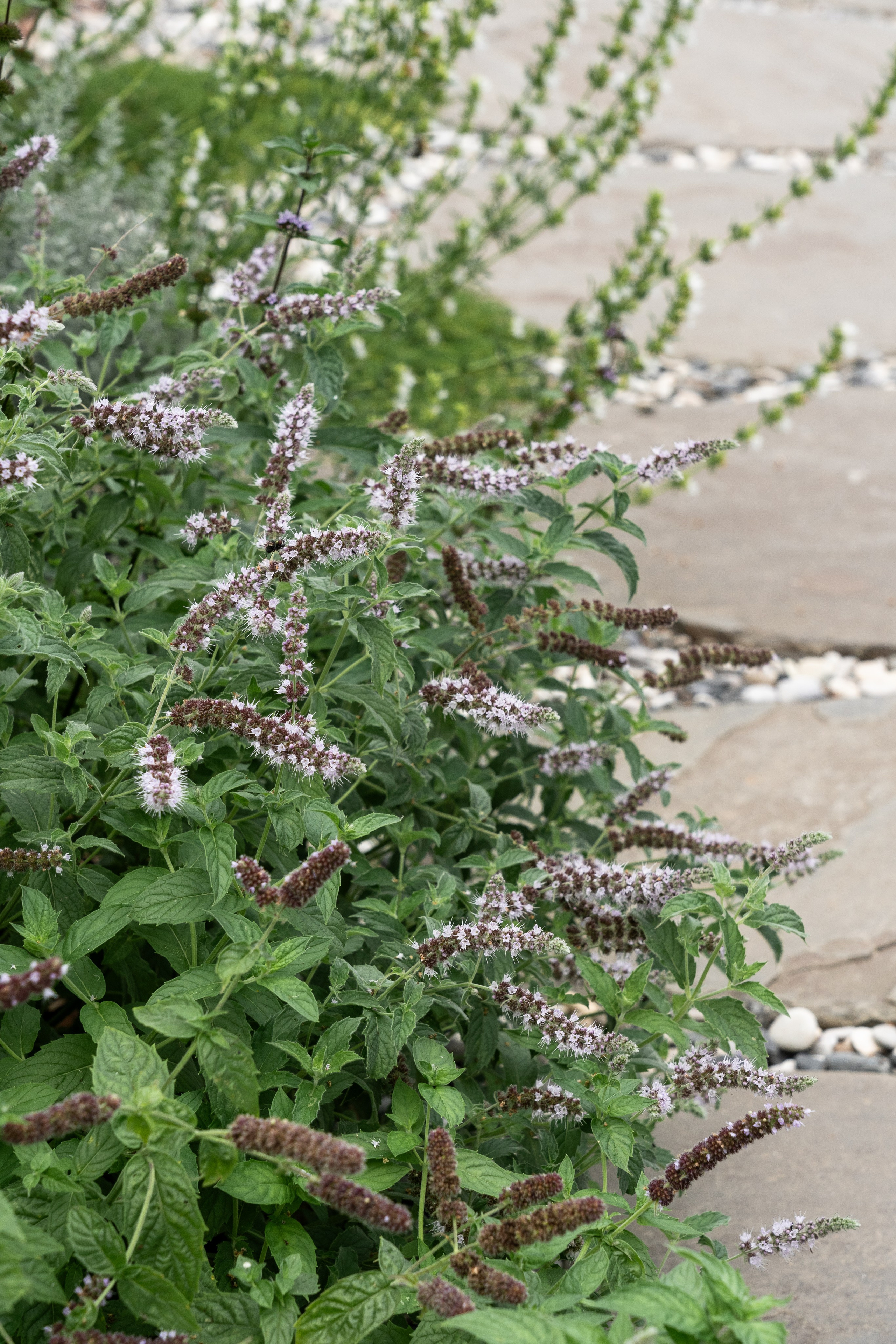 Private house, Moscow region. Артамонов Александр | Архитектурный и ландшафтный фотограф