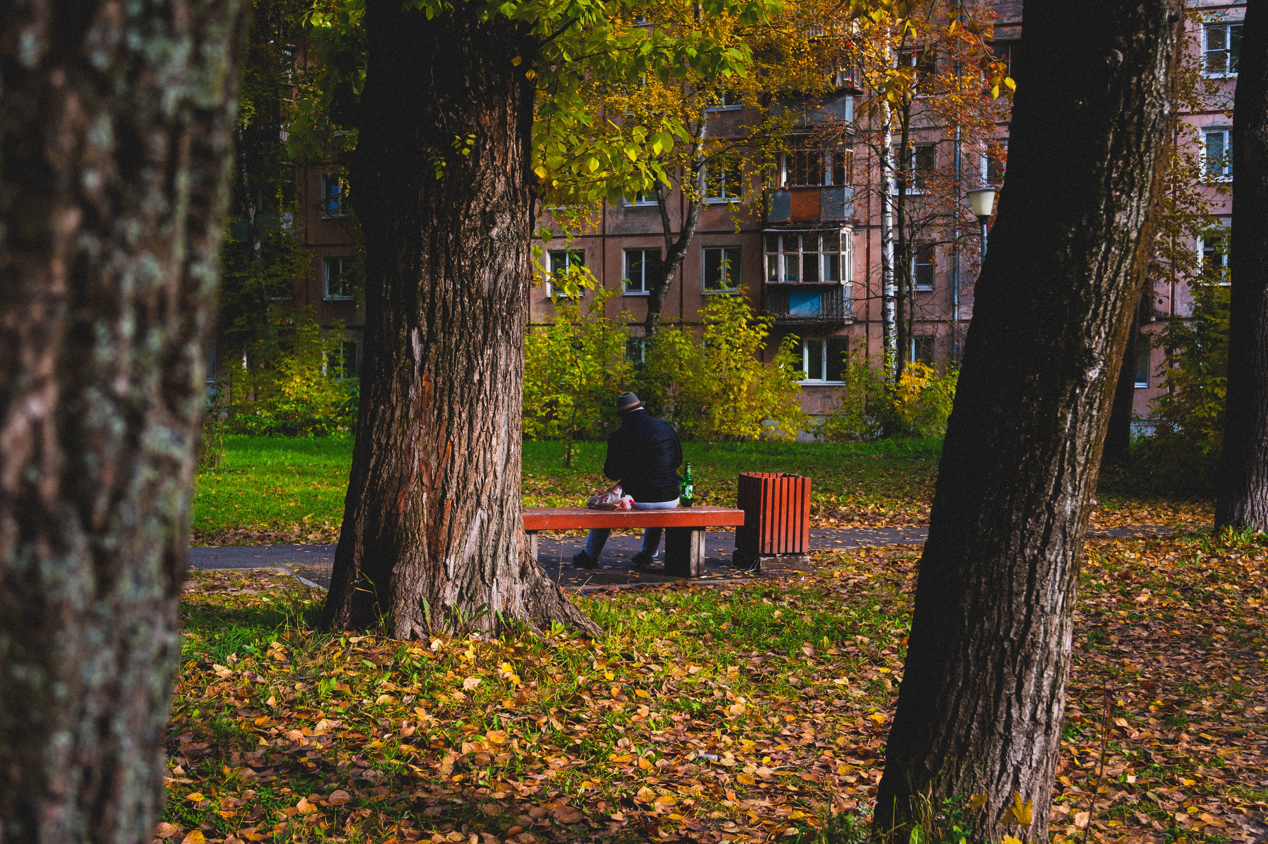 Октябрь 2025. Den Mirov — Фотограф, Музыкант