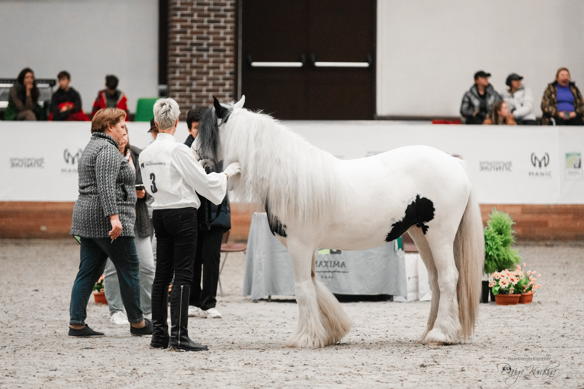 8-я международная выставка Конная Россия. Конный фотограф Куракина Дарья • Фотосессии с лошадьми