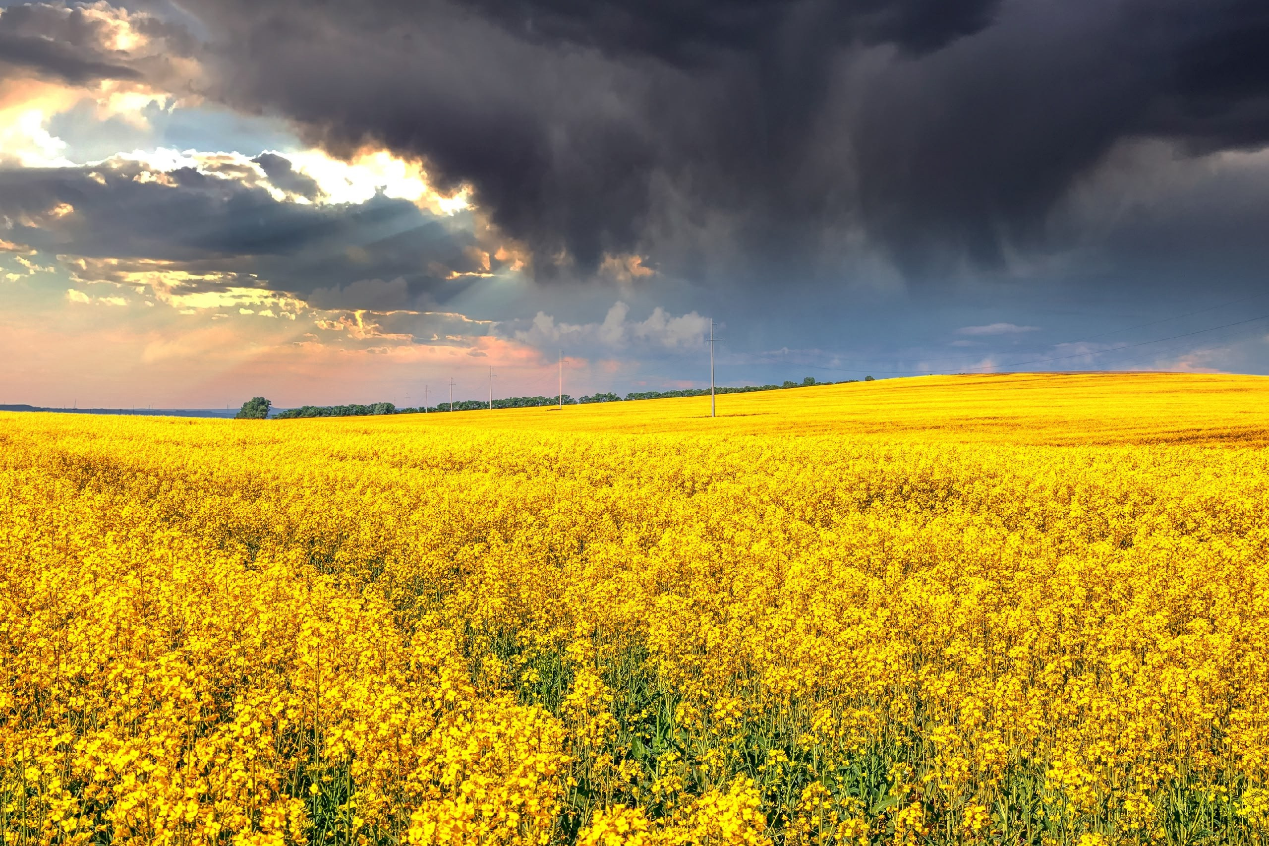 Здесь можно оставить свои отзывы. Фотограф в Абакане Борис Долинин