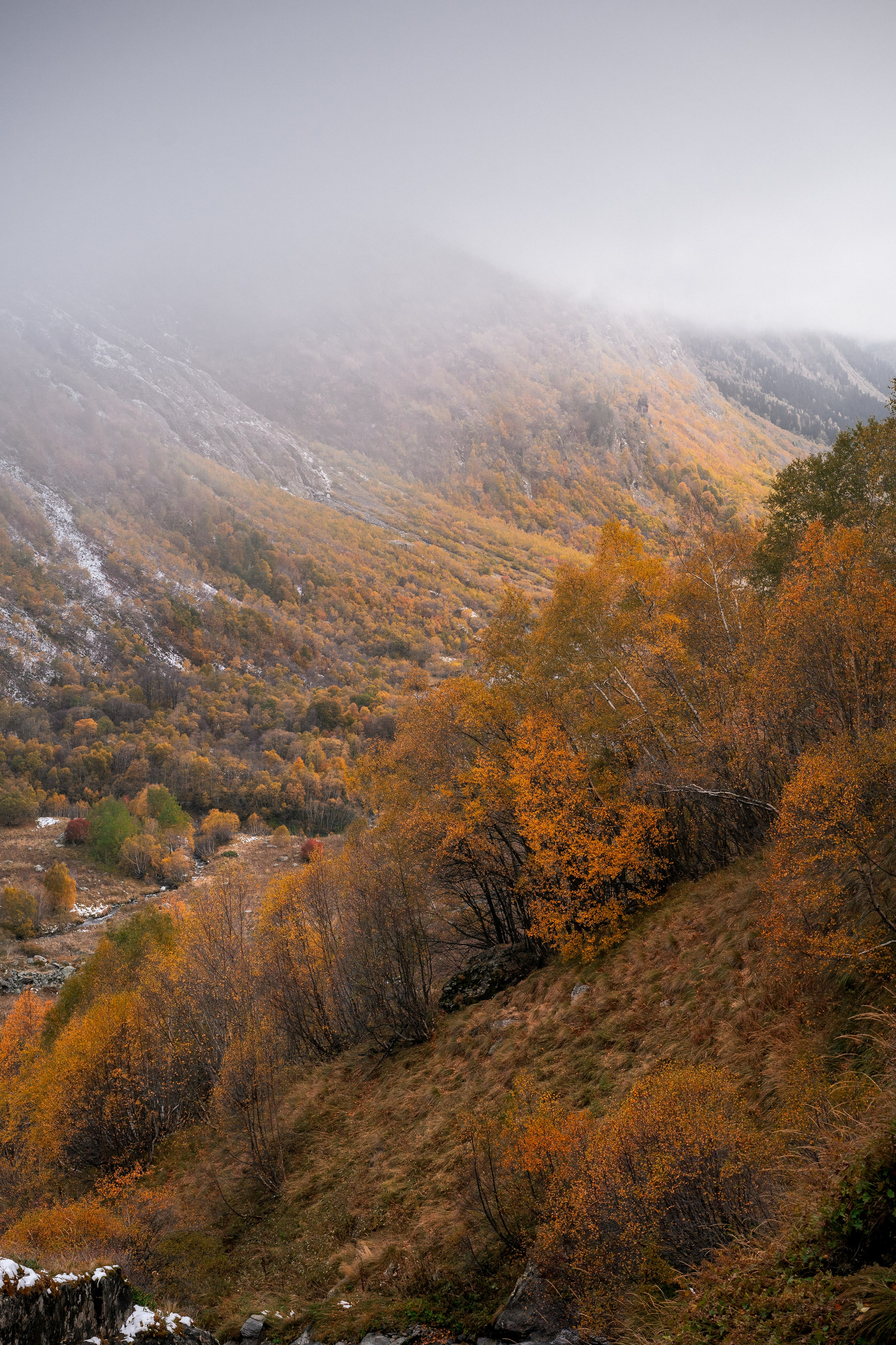 Вид на долину Домбай-Ульген, осень
