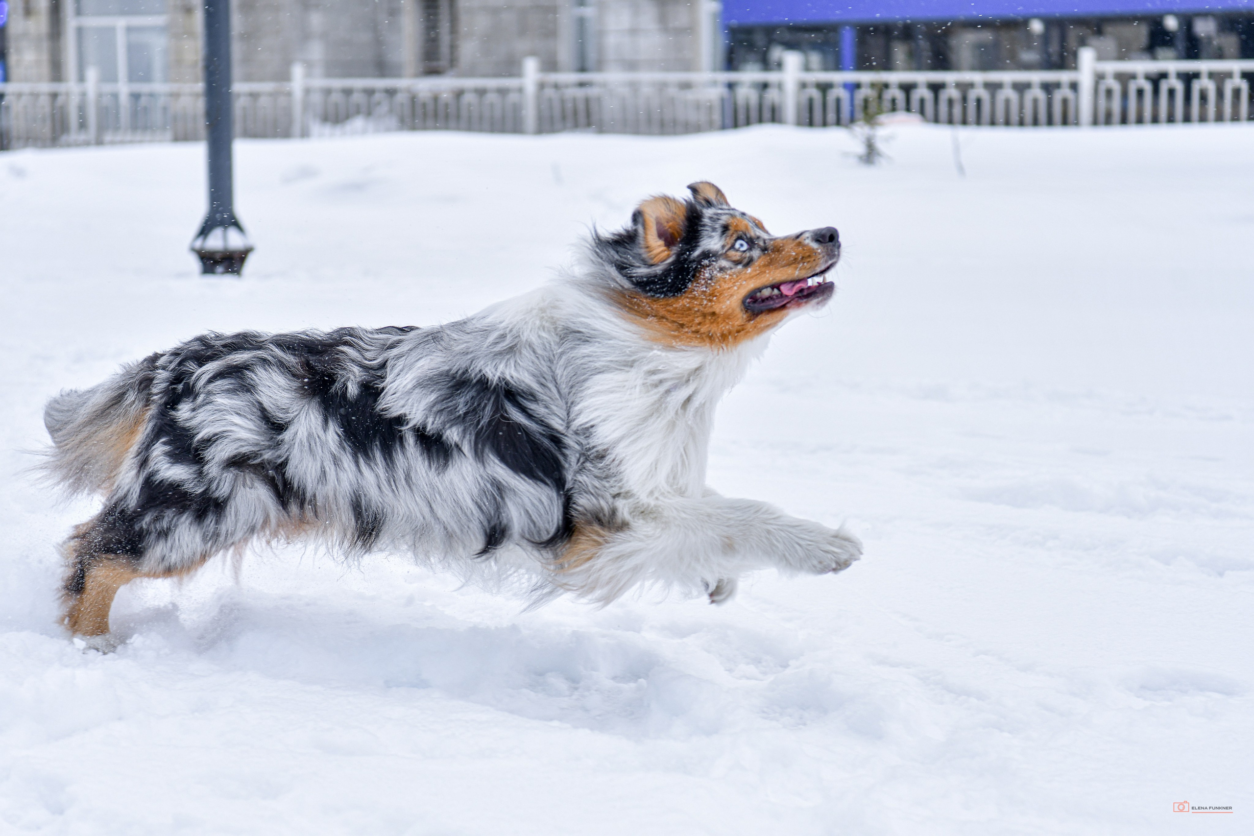 Зима. Свой взгляд через объектив