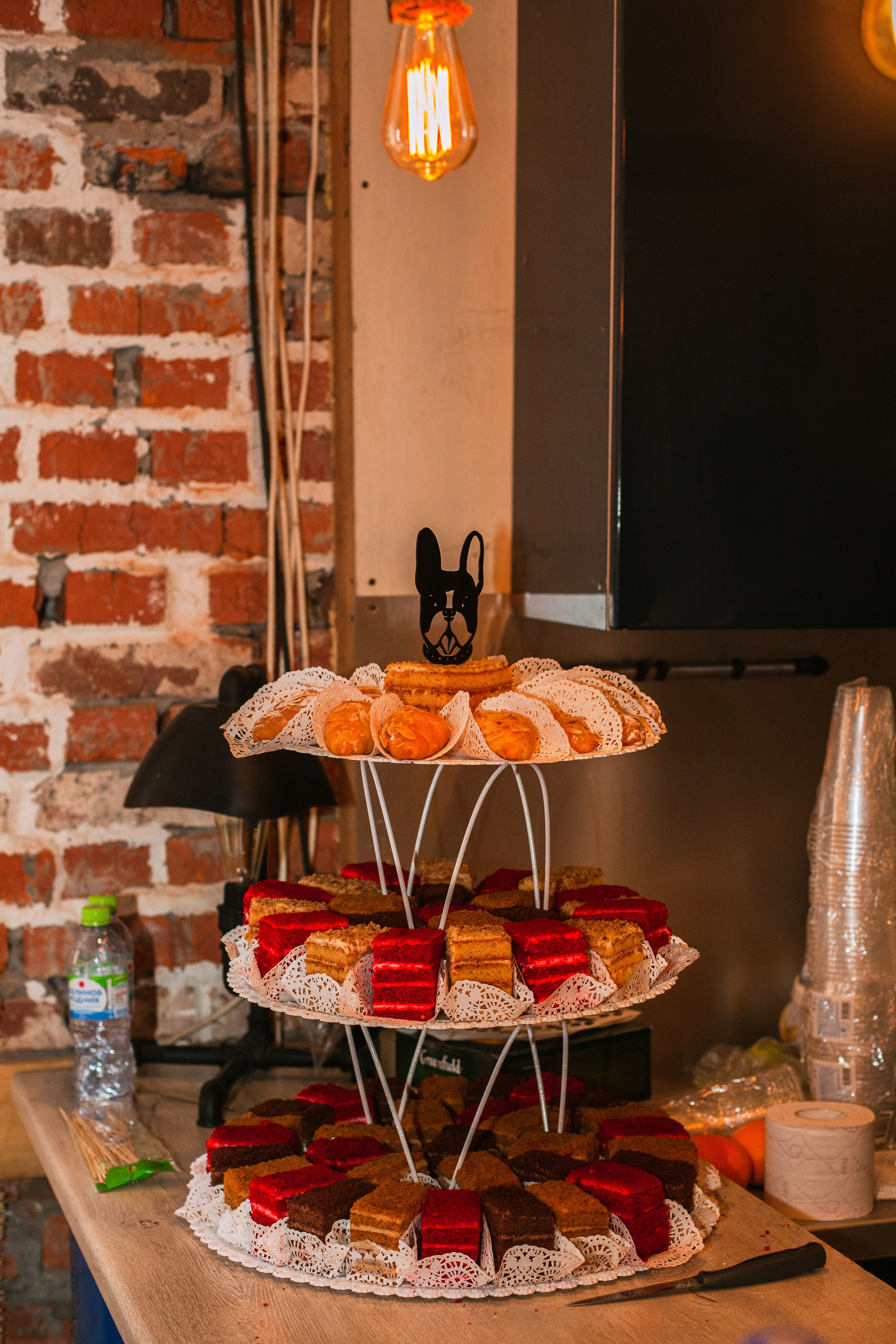 Бульбалл 23.04.2023. Фотограф-анималист Татьяна Степанова