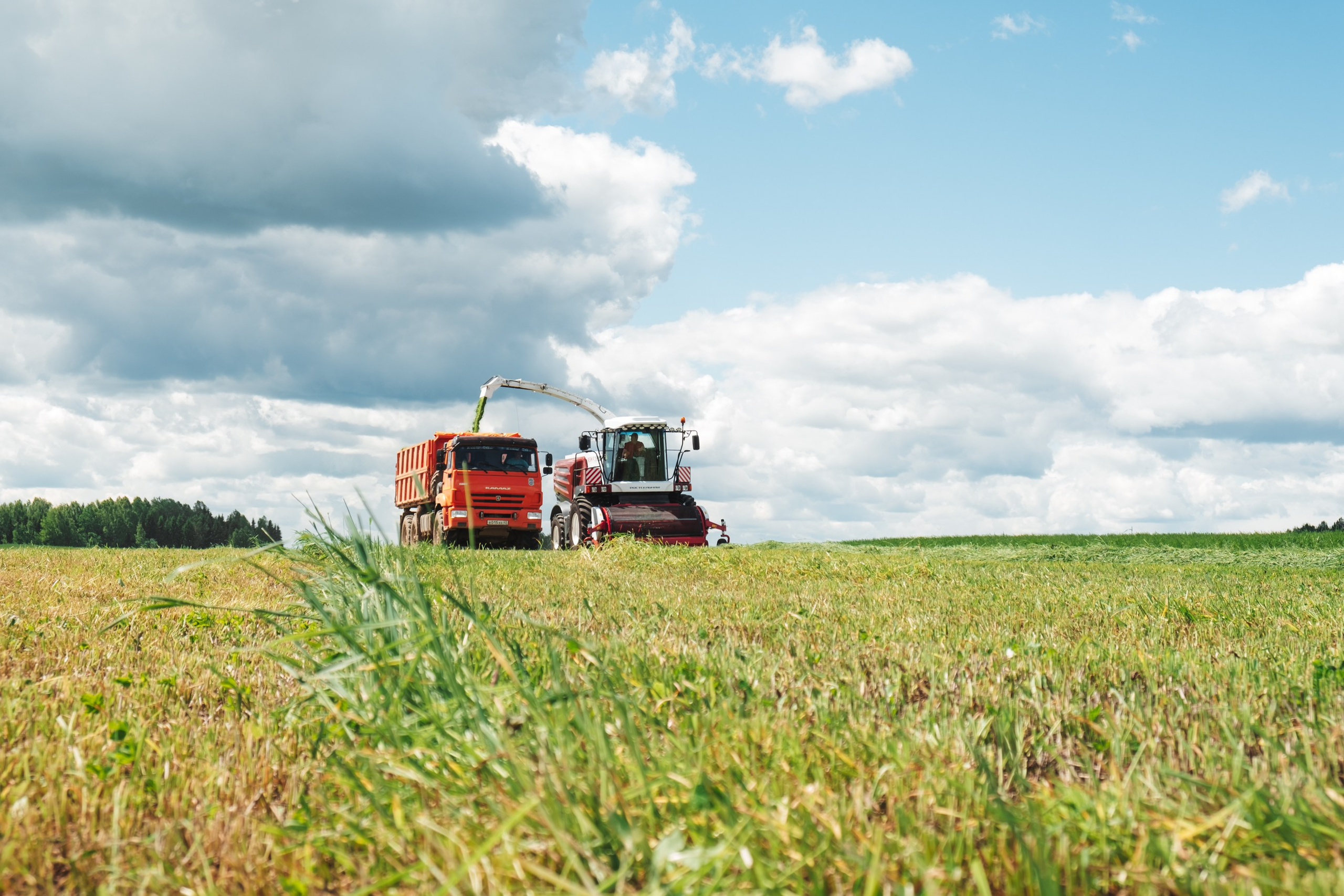 «Вятушка» и «РОСТСЕЛЬМАШ». Varankin denis