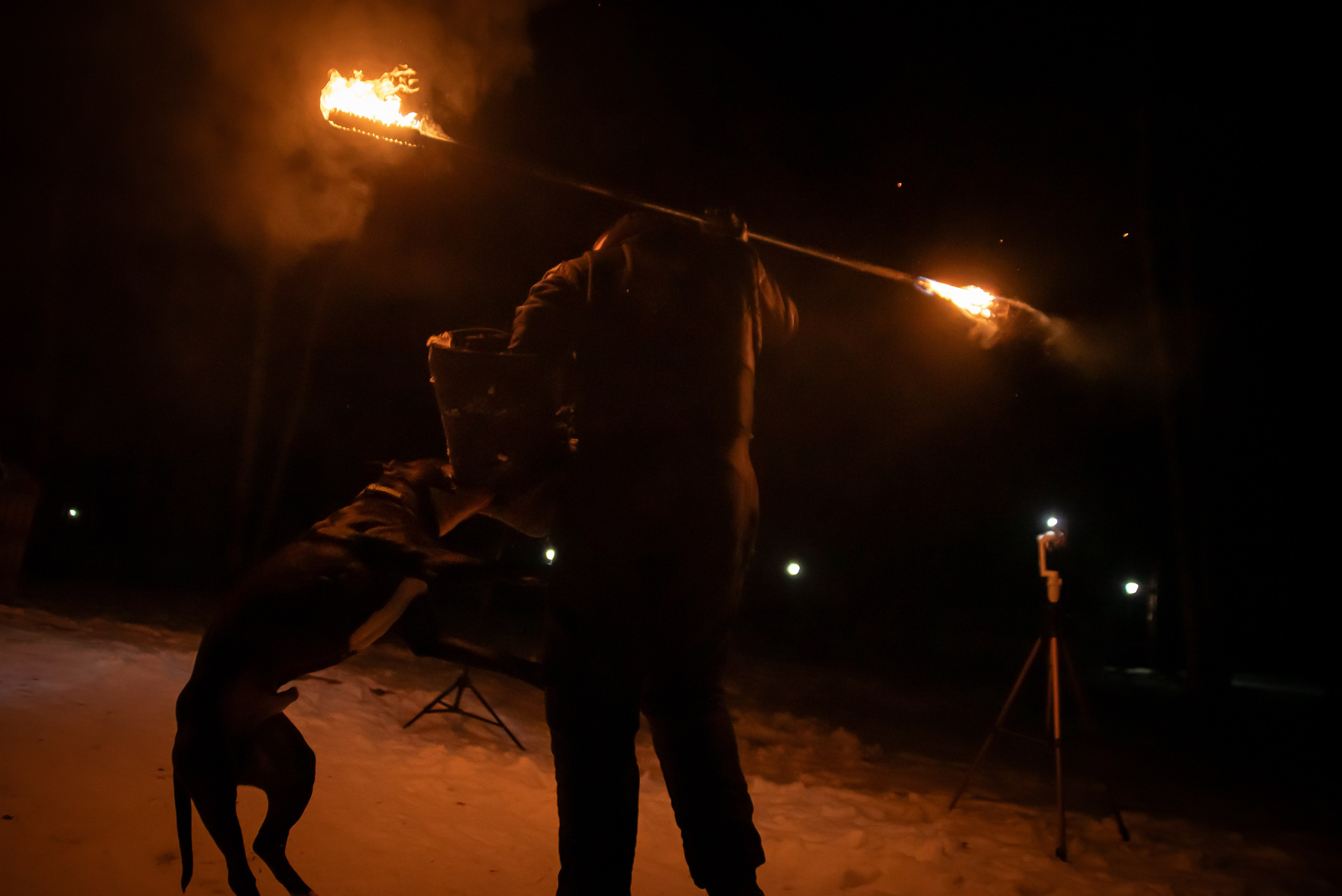 Фотосъёмка с собаками в Кинологическом лагере. Фотограф Макс Огурцов в Нижнем Новгороде