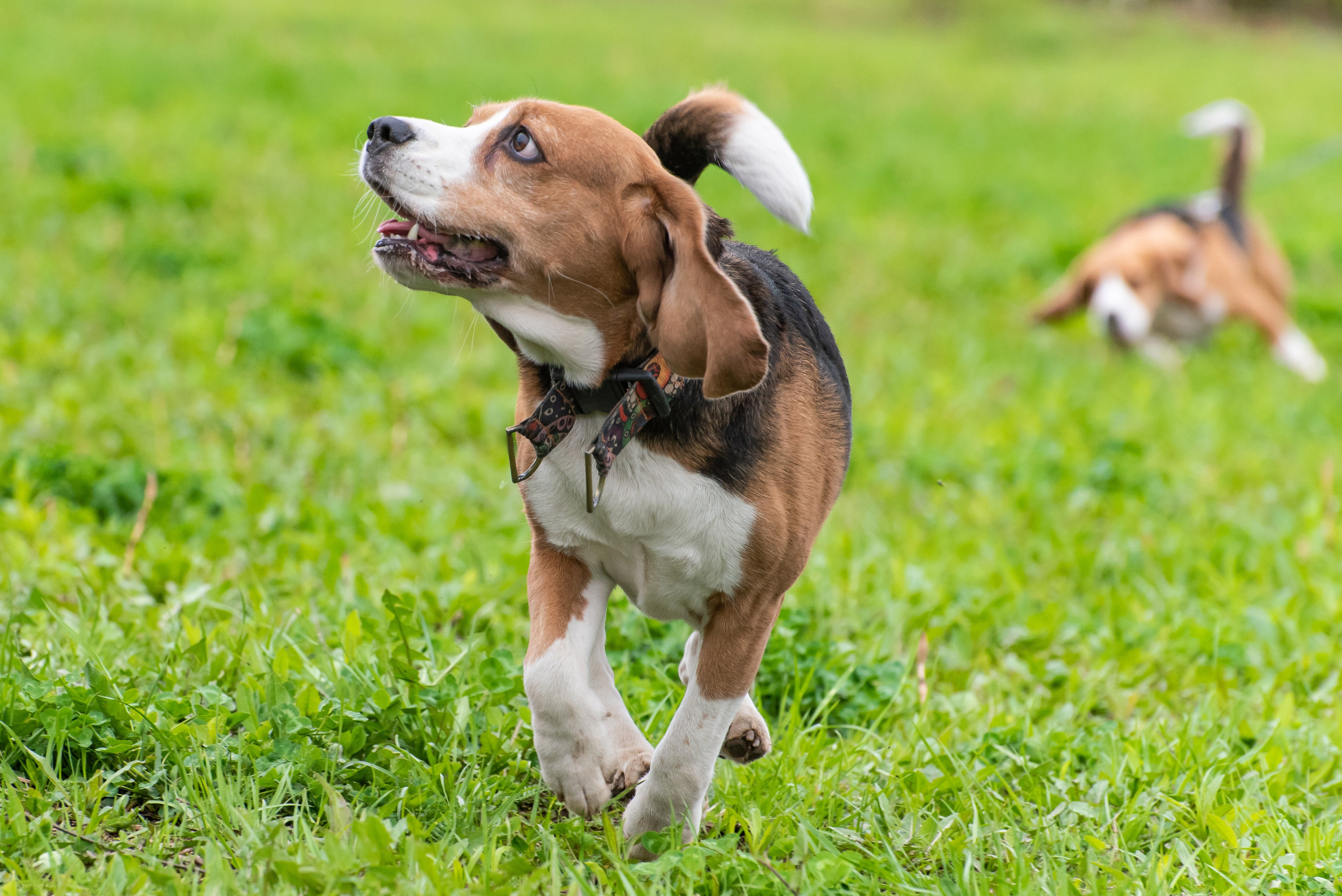 Фотографии с Курсинга. Фотограф Макс Огурцов в Нижнем Новгороде