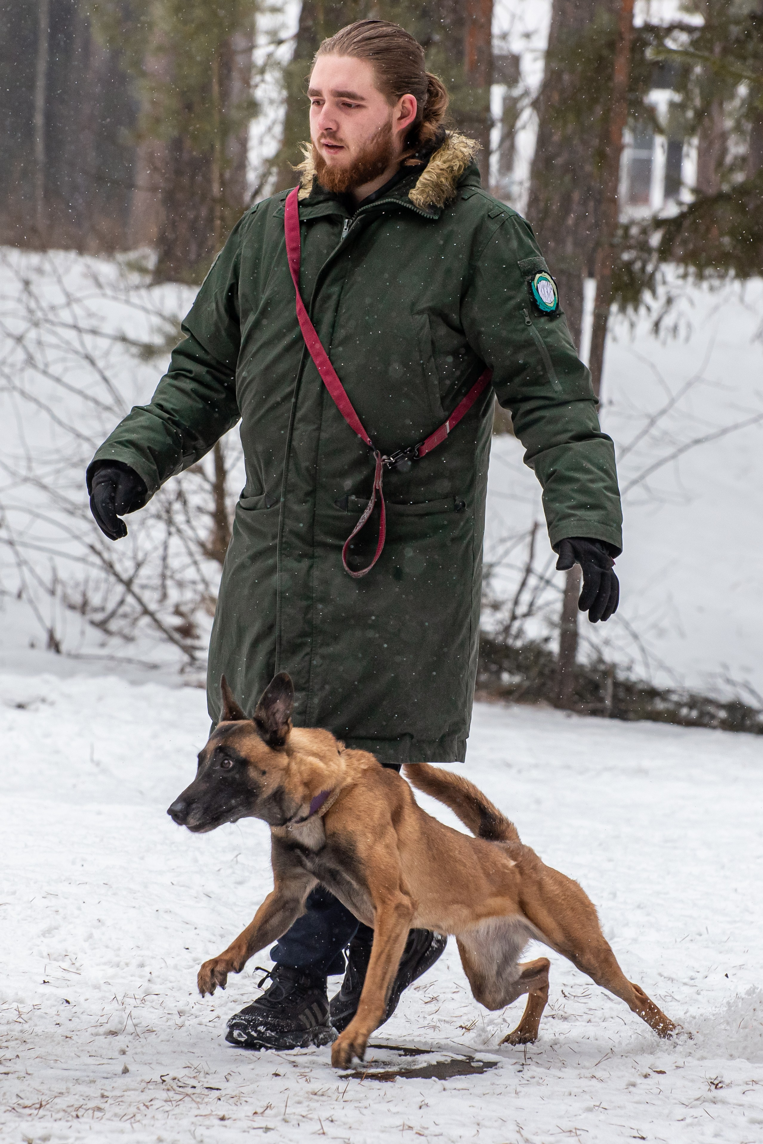 Фотосъёмка с собаками в Кинологическом лагере. Фотограф Макс Огурцов в Нижнем Новгороде