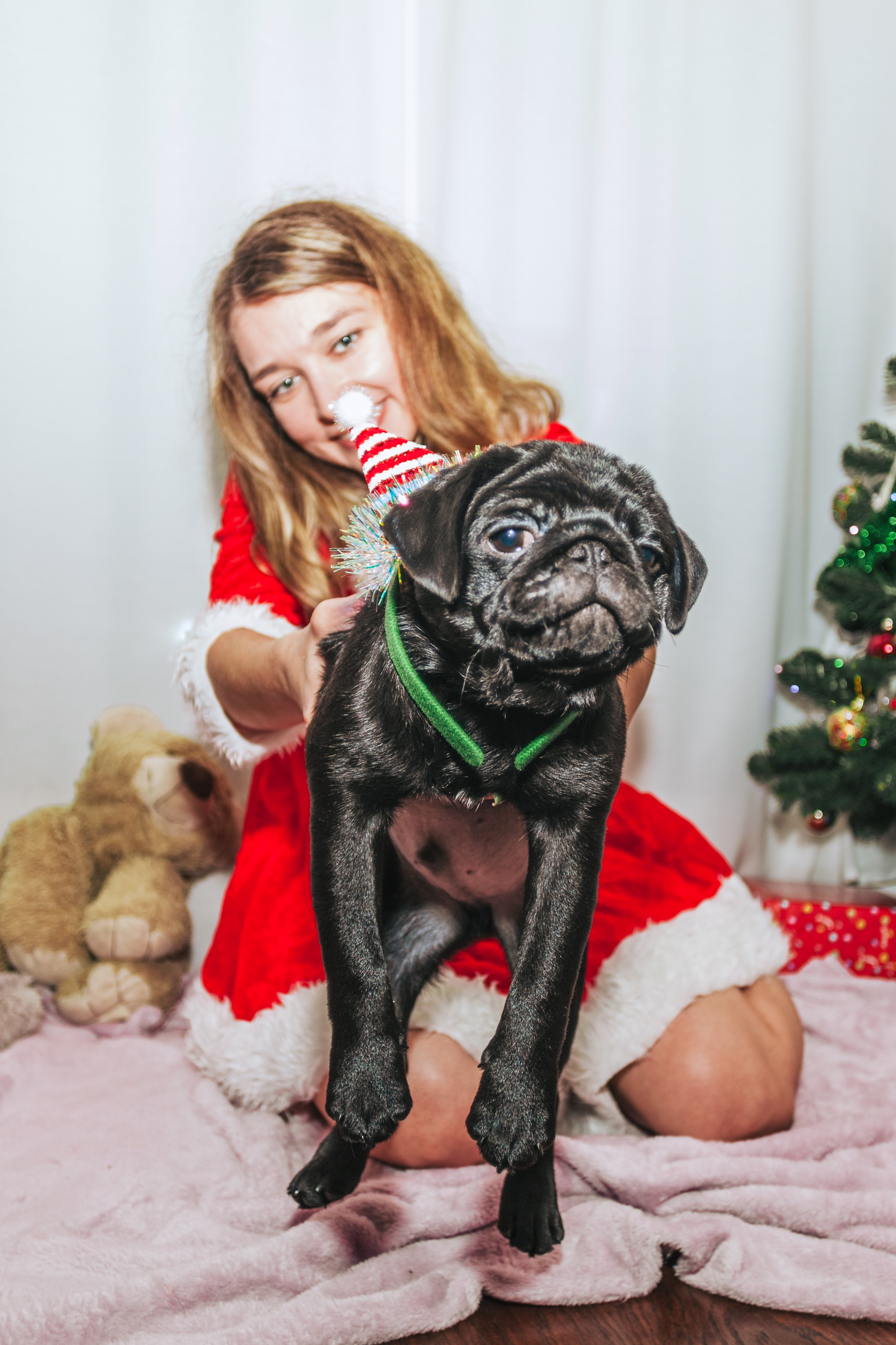 Домашняя фотосессия Оли и двух ее мопсов. Фотограф-анималист Татьяна Степанова