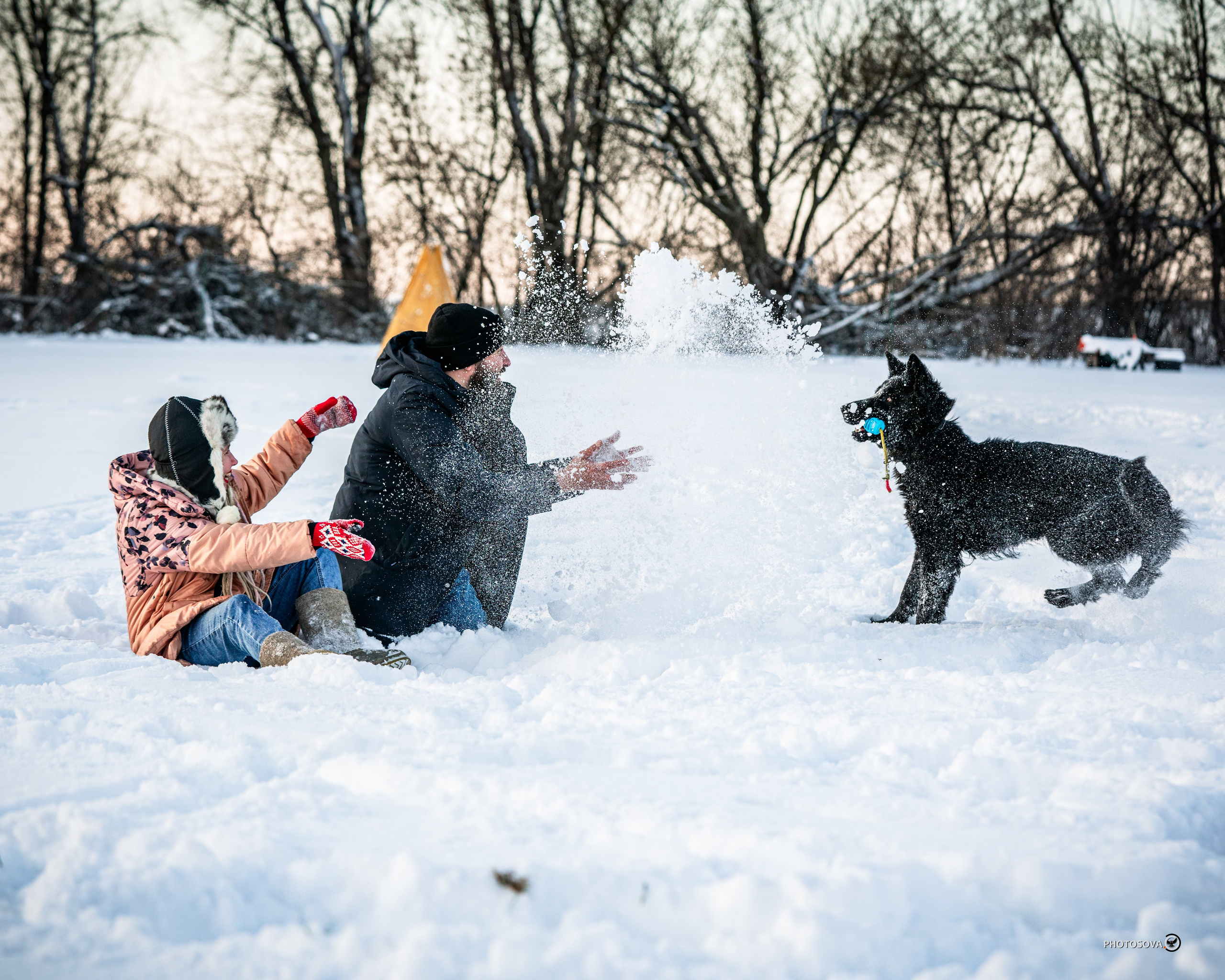 ФОТОПАМЯТЬ ВАШИХ ЭМОЦИЙ. Фотограф-анималист, семейный фотограф в Москве и Подмосковье. Фотосъёмка кинологических дисциплин