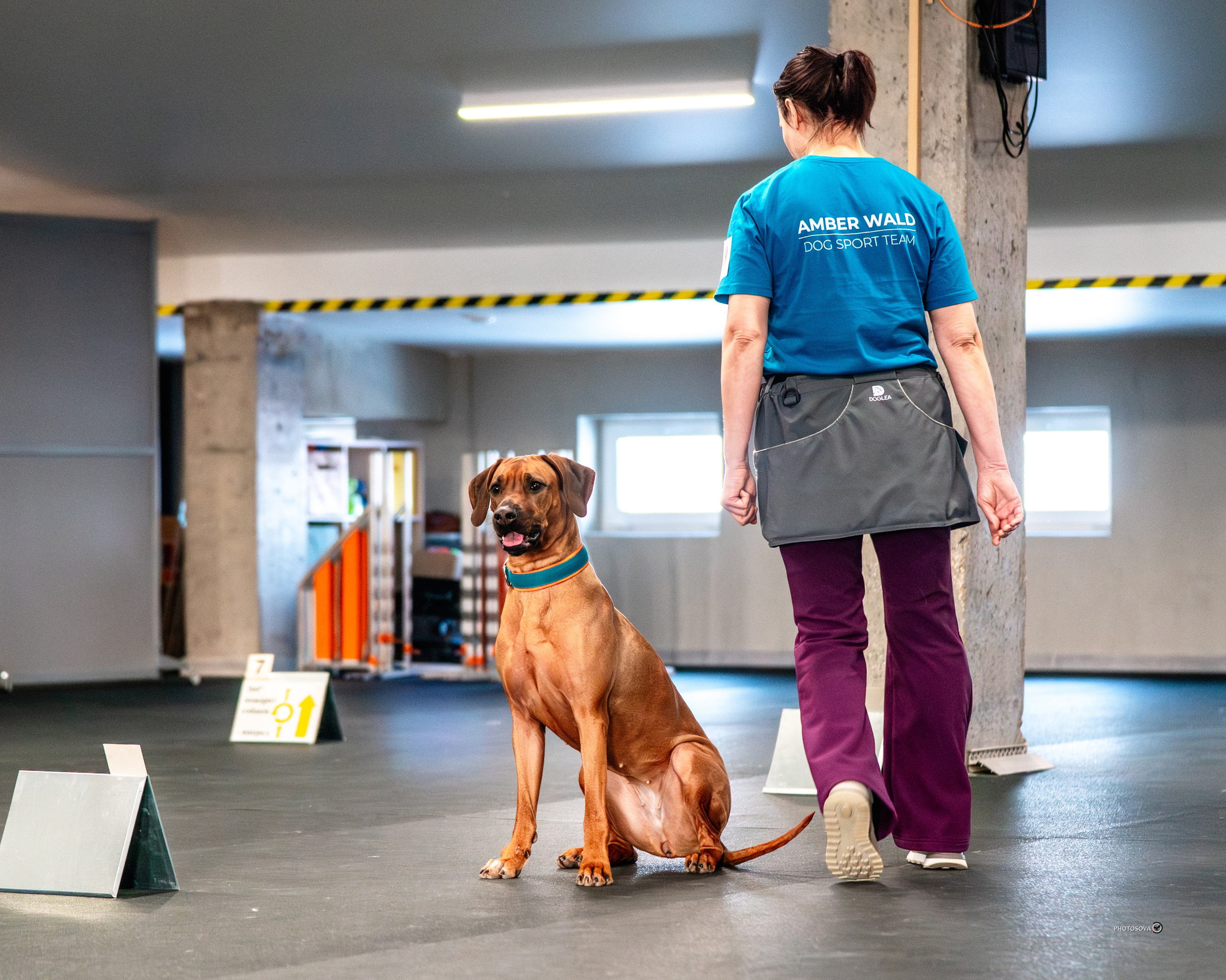 ТЫ И Я (соревнования по ралли-обидиенс). Фотограф-анималист, семейный фотограф в Москве и Подмосковье. Фотосъёмка кинологических дисциплин
