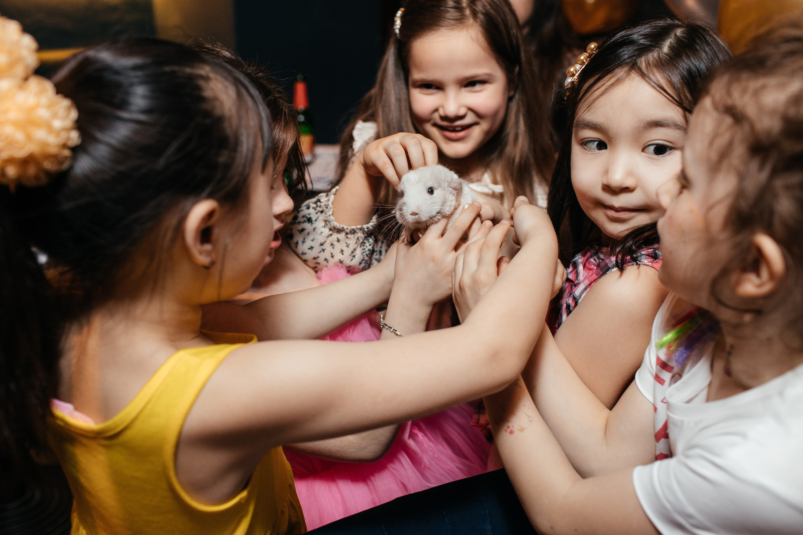 День рождения в Небо на Ладони. Свадебный и семейный фотограф