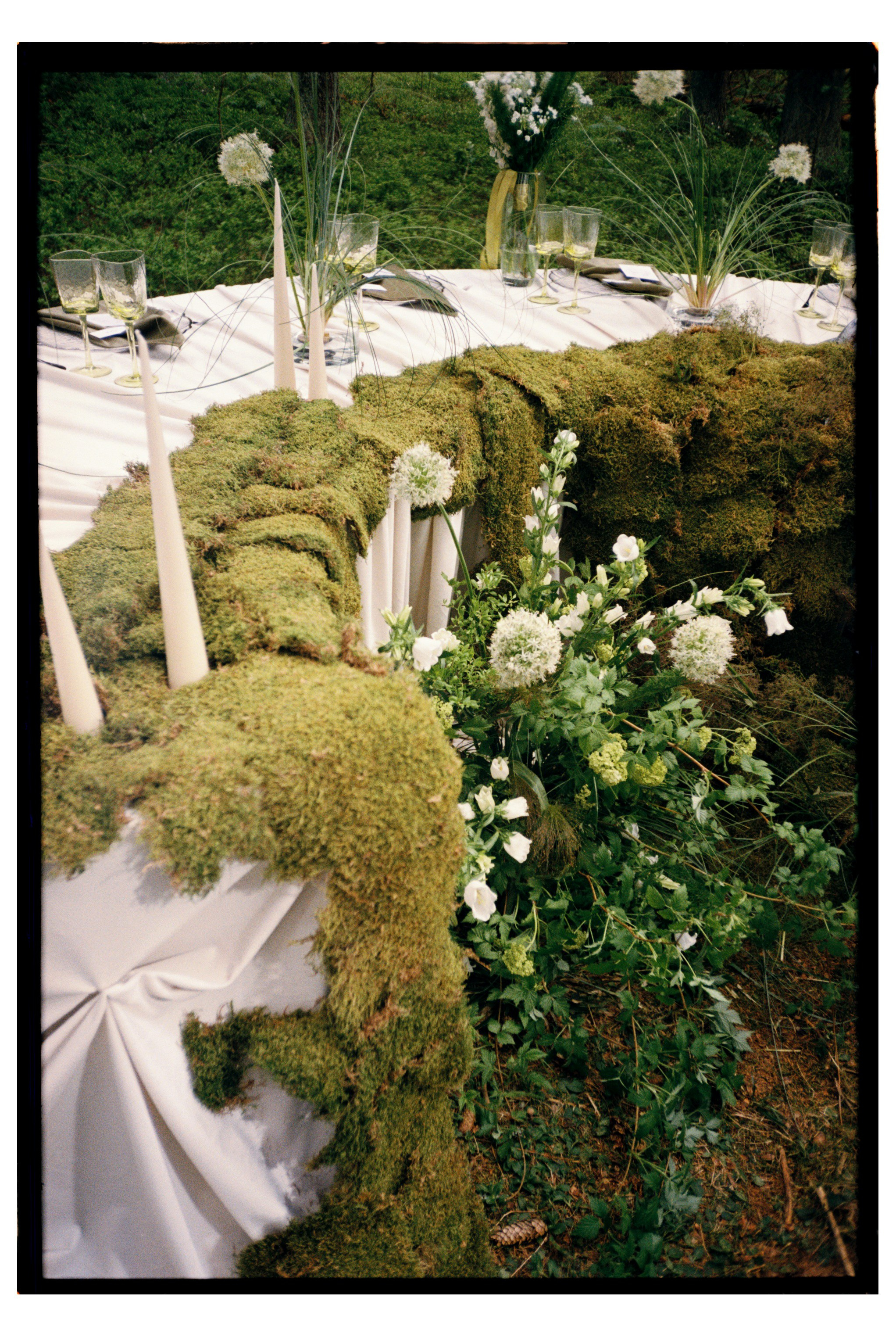 Фото на плёнку. Вера Пьянцева семейный, свадебный и парный фотограф в Санкт-Петербурге