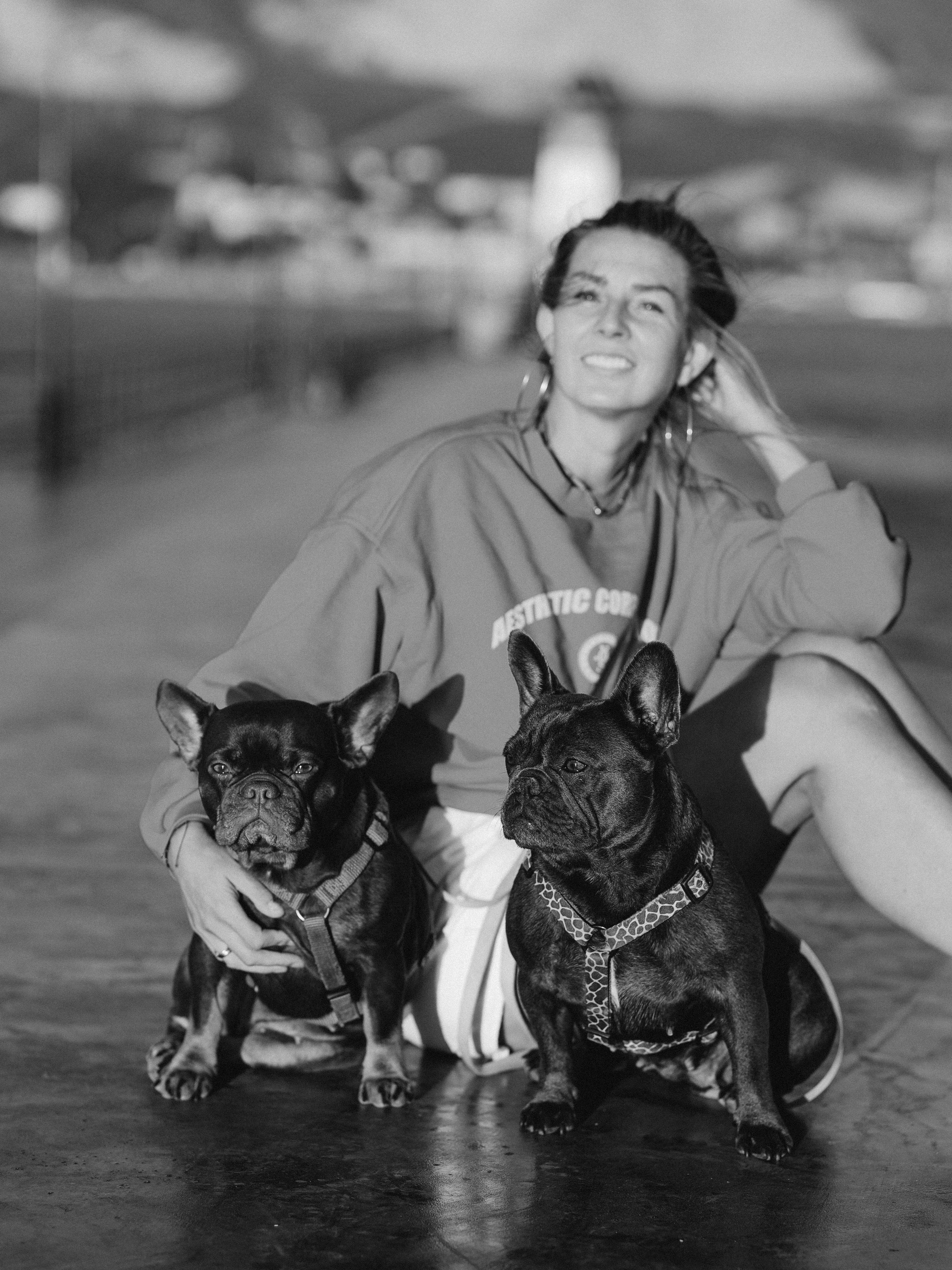 Белла, Луна и Нелли. Фотограф-анималист в Москве Кириллова Татьяна